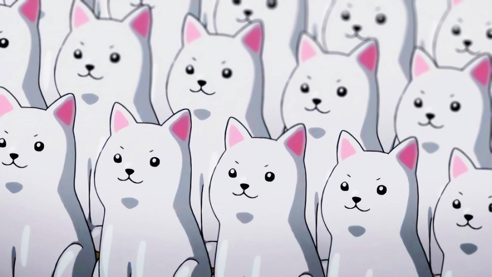 Perros Blancos Kawaii HD Fondos de pantalla