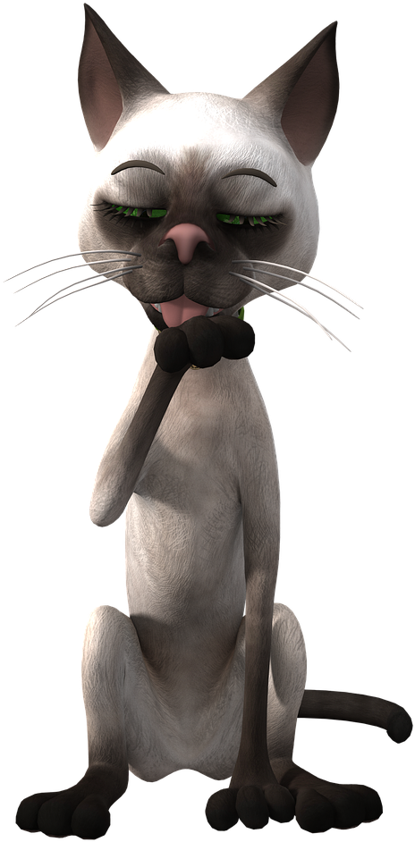 Personaje de gato siamés pensativo Fondos de pantalla