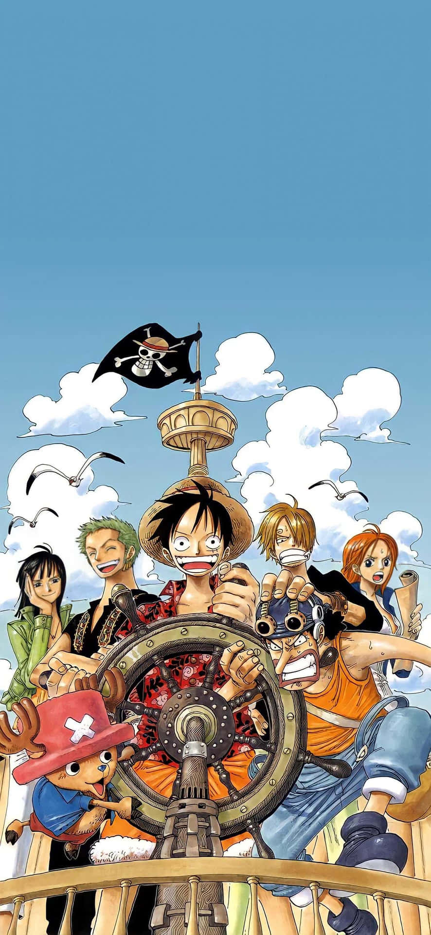 Imágenes de One Piece