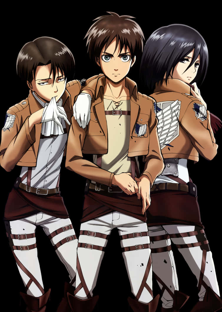 Personajes principales de Attack on Titan Fondos de pantalla