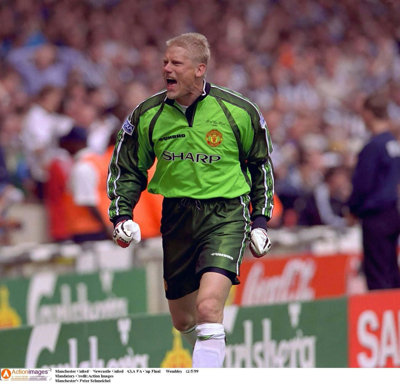 Peter Schmeichel Manchester United Fútbol Fondos de pantalla