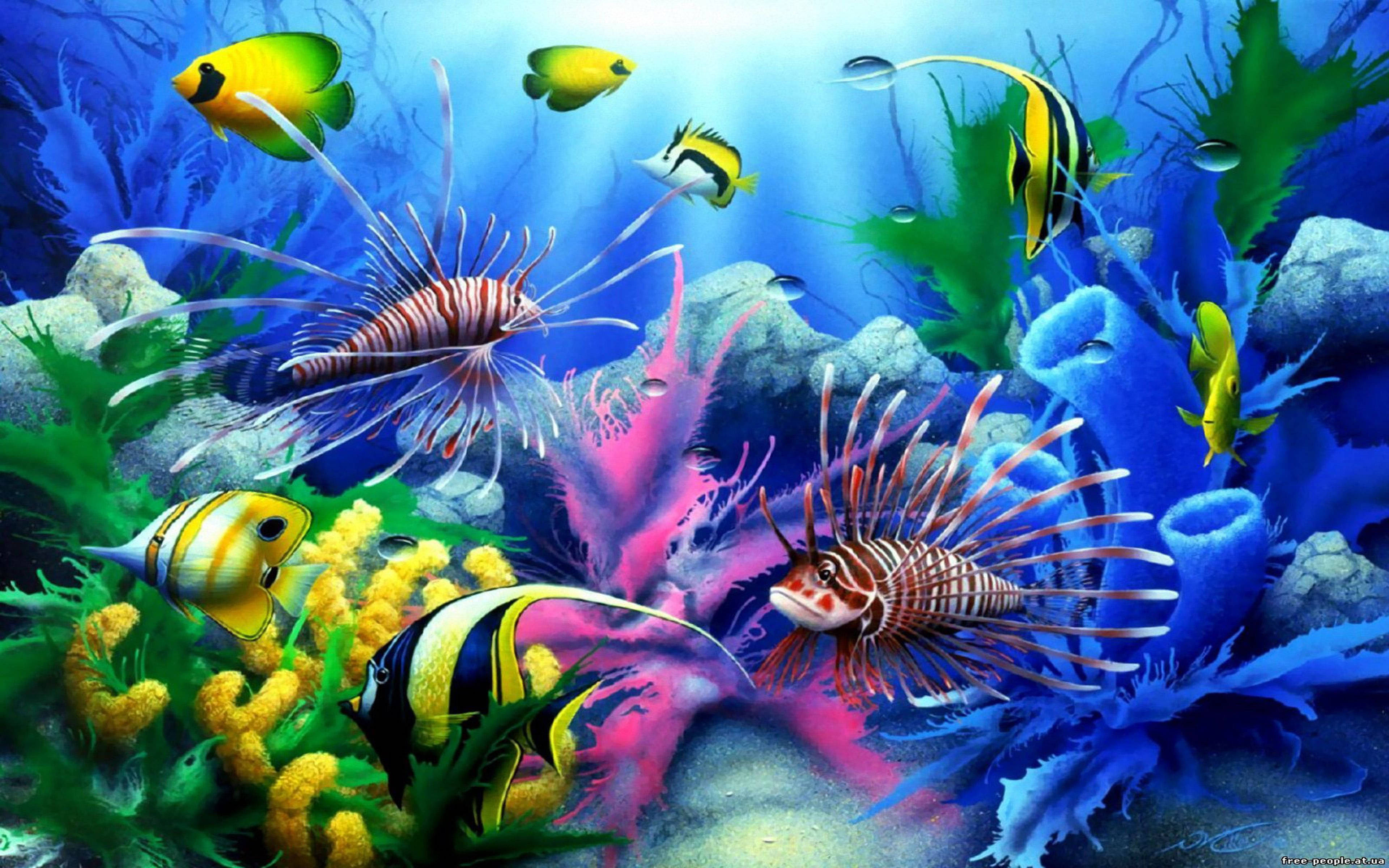 Pez Genial de Acuario Fondos de pantalla