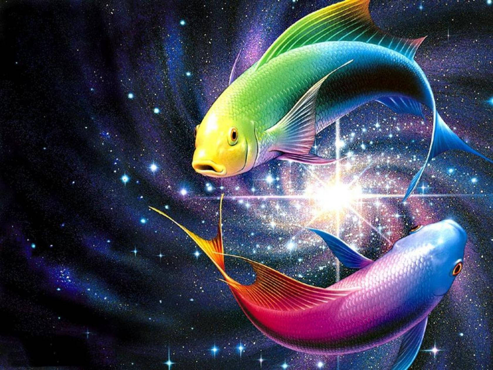 Pez Genial y Brillante de Neón Fondos de pantalla