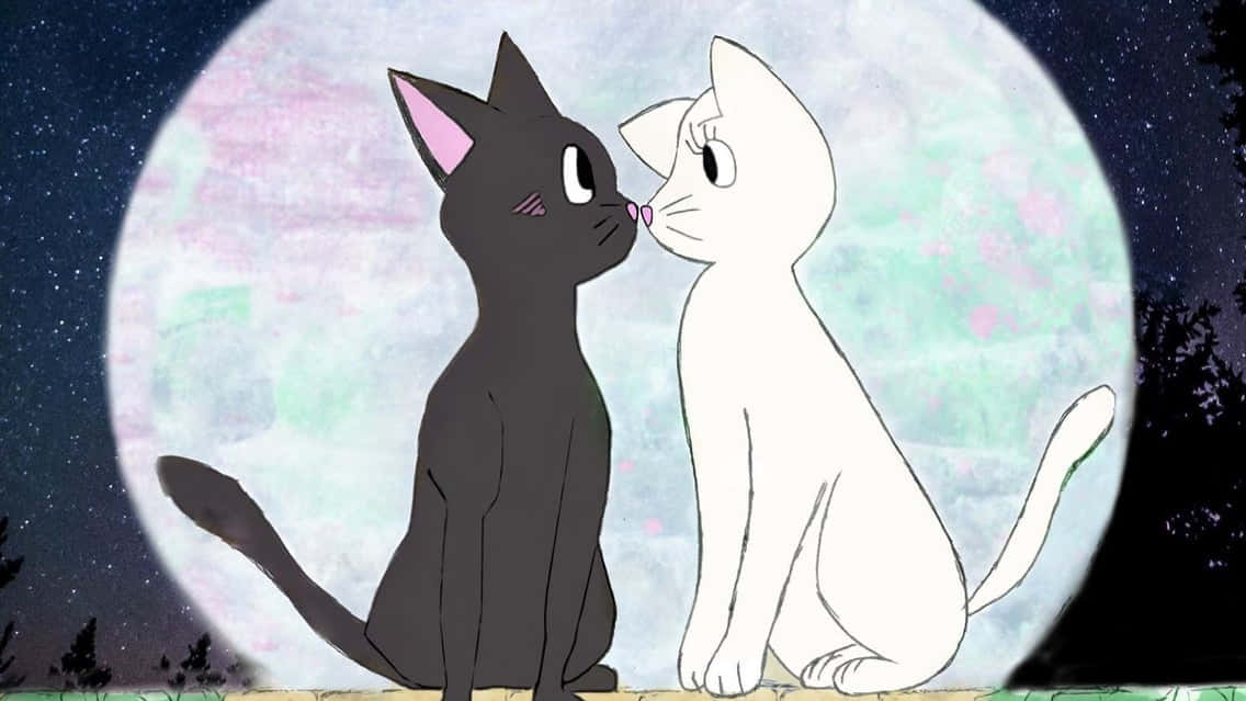 Pfp de Gatos Combinados Sailor Moon Fondos de pantalla