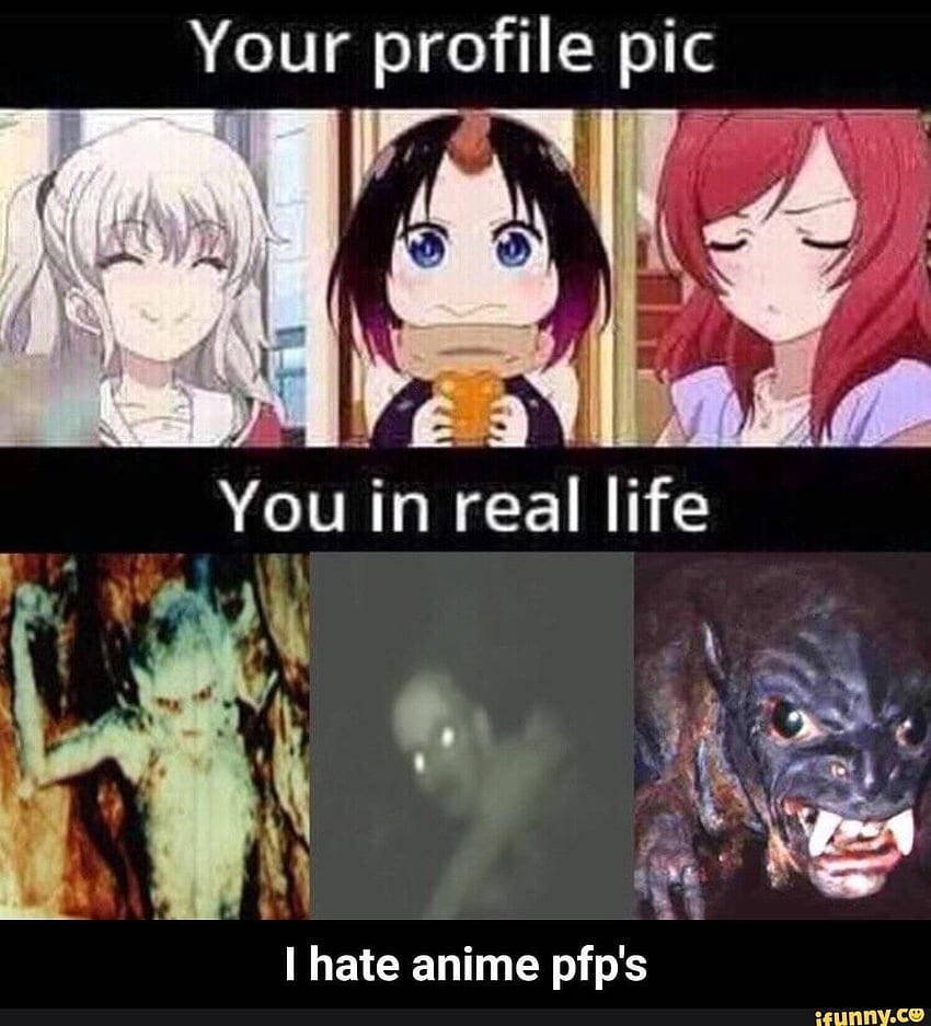 PFP de meme divertido Fondos de pantalla