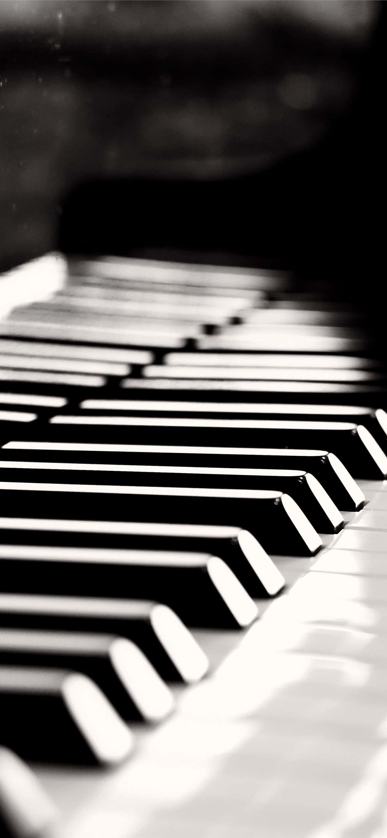Piano e instrumento musical en blanco y negro Fondos de pantalla