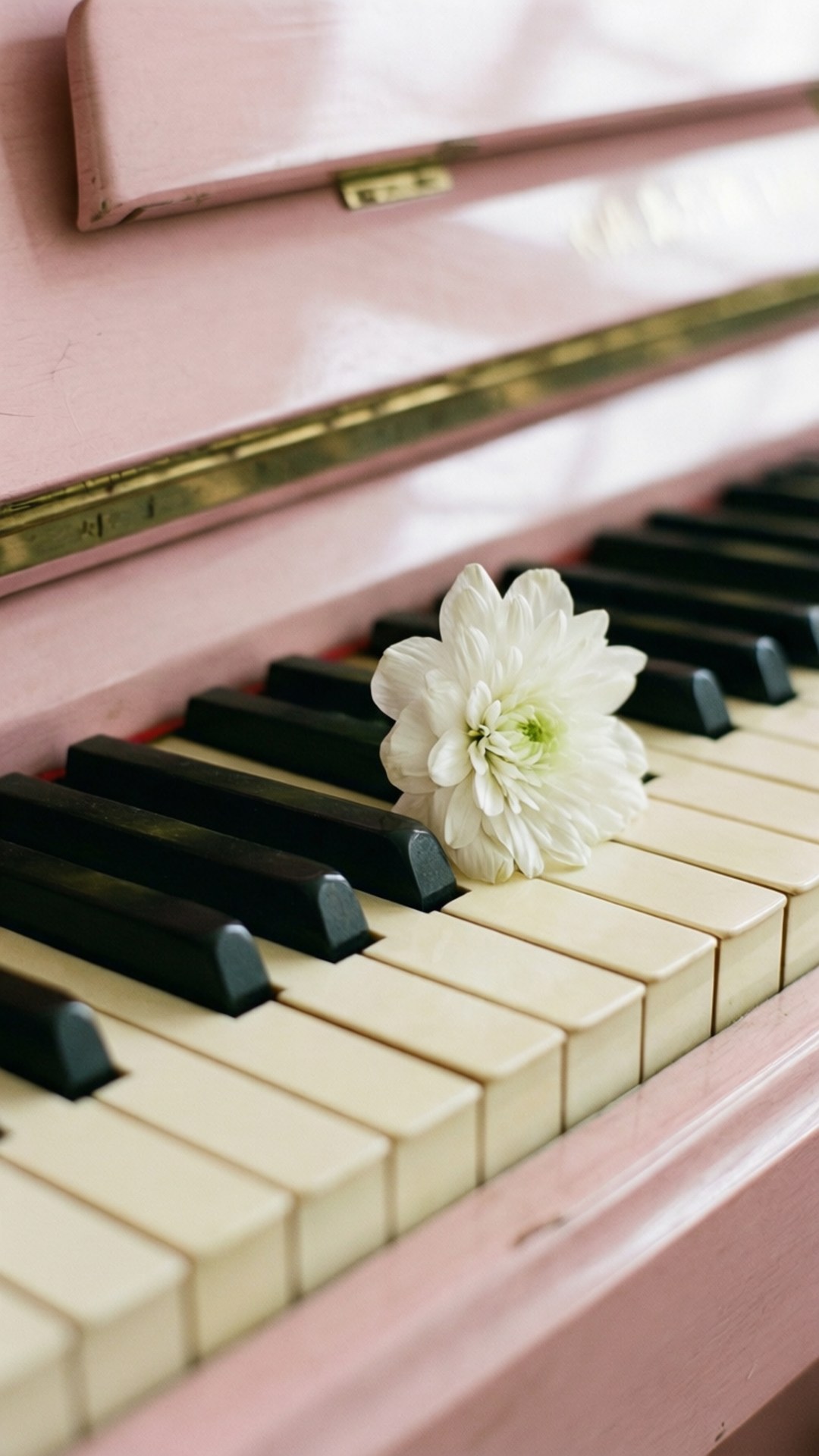 Piano y Pétalos Fondos de pantalla