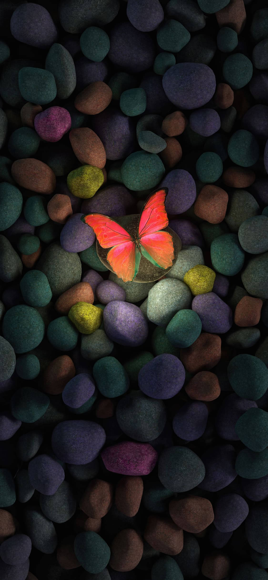 Piedra Colorida y Mariposa Estética iPhone Xr Fondos de pantalla