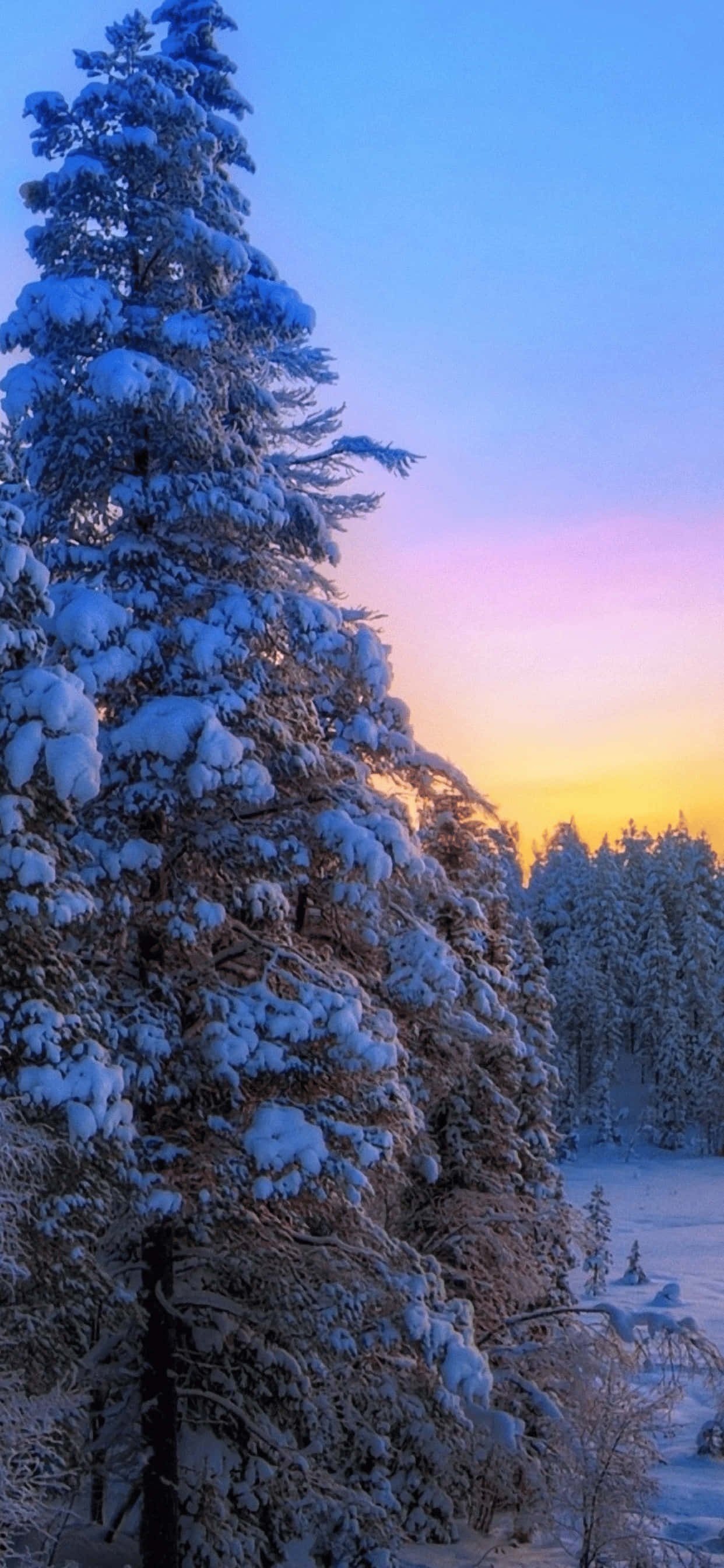 Pino con Nieve Fondo de Invierno para iPhone XS Max Fondos de pantalla