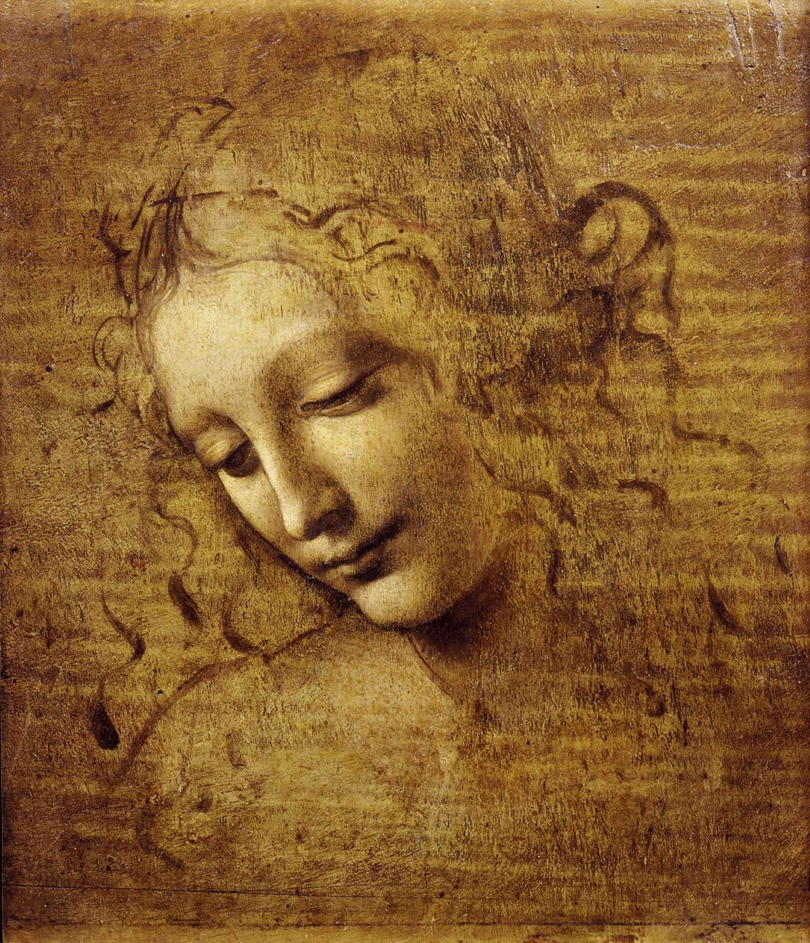 Pintura de Cabeza Femenina de Leonardo Da Vinci Fondos de pantalla