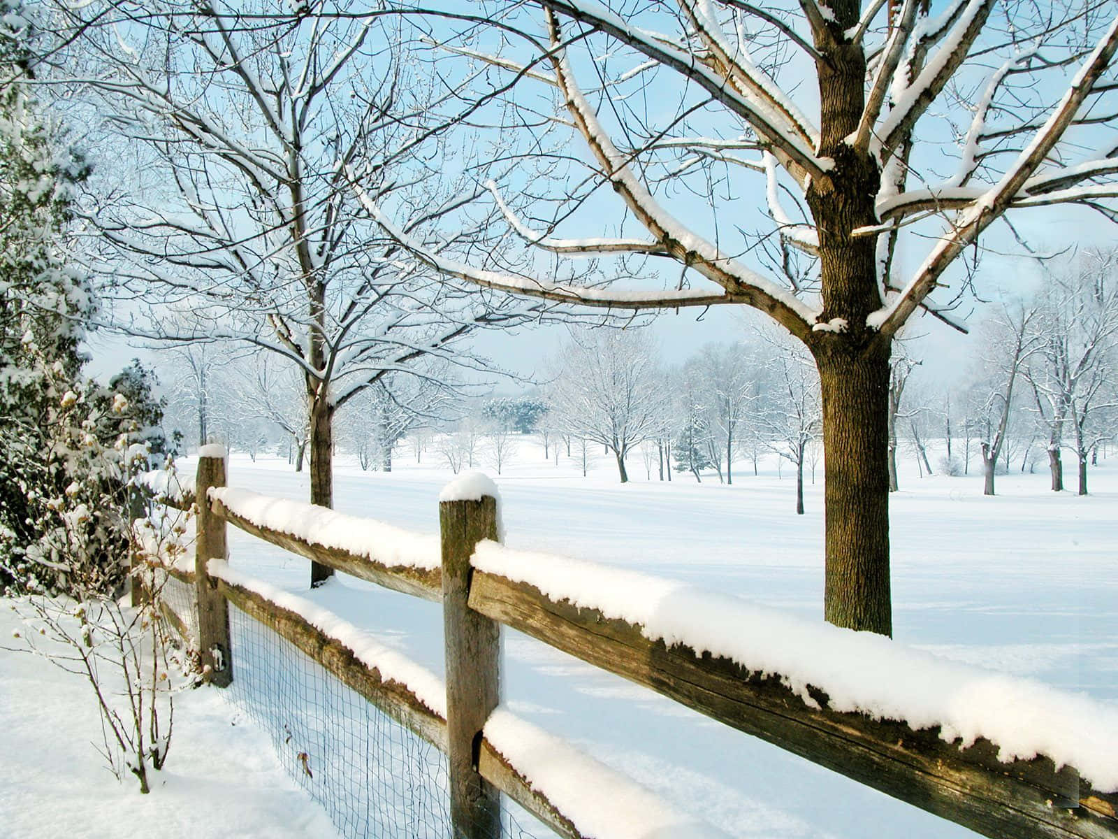 Pintura de cerca de invierno en New Hampshire Fondos de pantalla