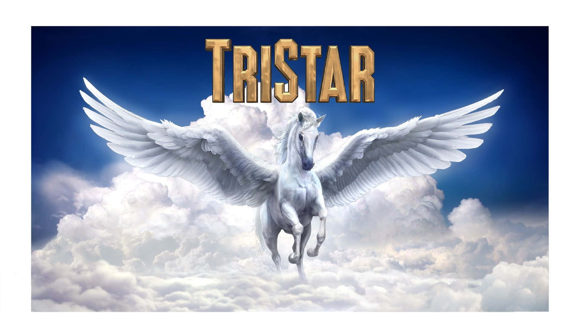 Pintura de la tarjeta de título de TriStar Fondos de pantalla