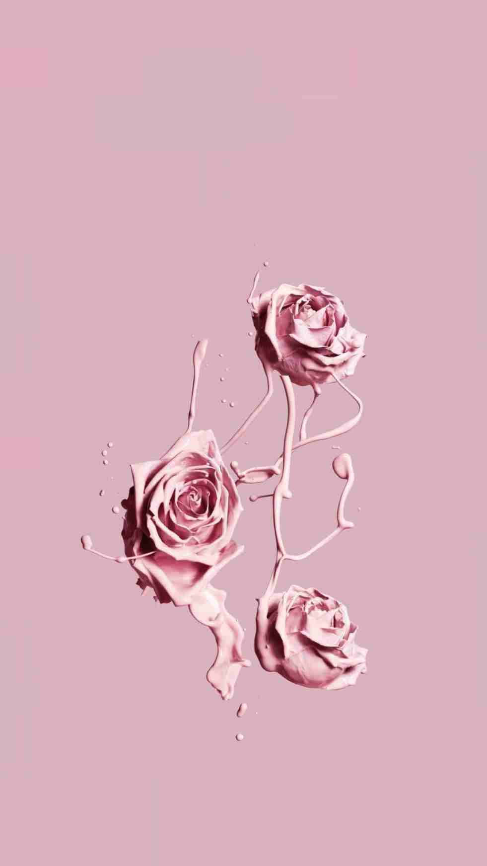 Pintura Rosa Estética Vintage Fondos de pantalla