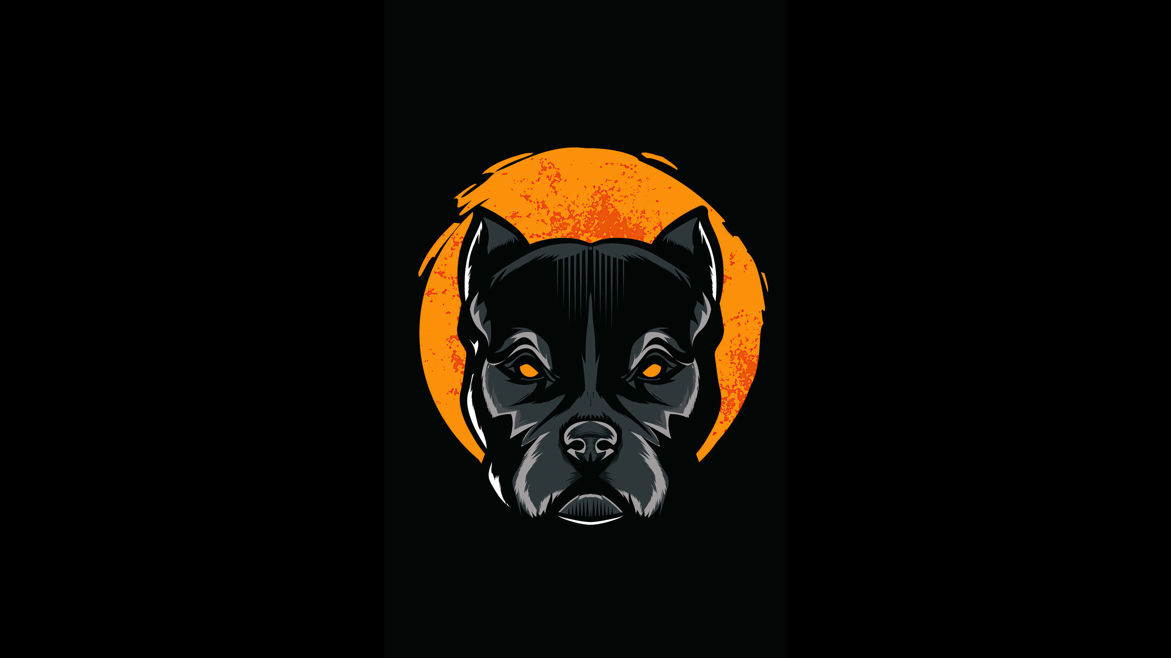 Pitbull negro con mirada intensa y ojos brillantes Fondos de pantalla