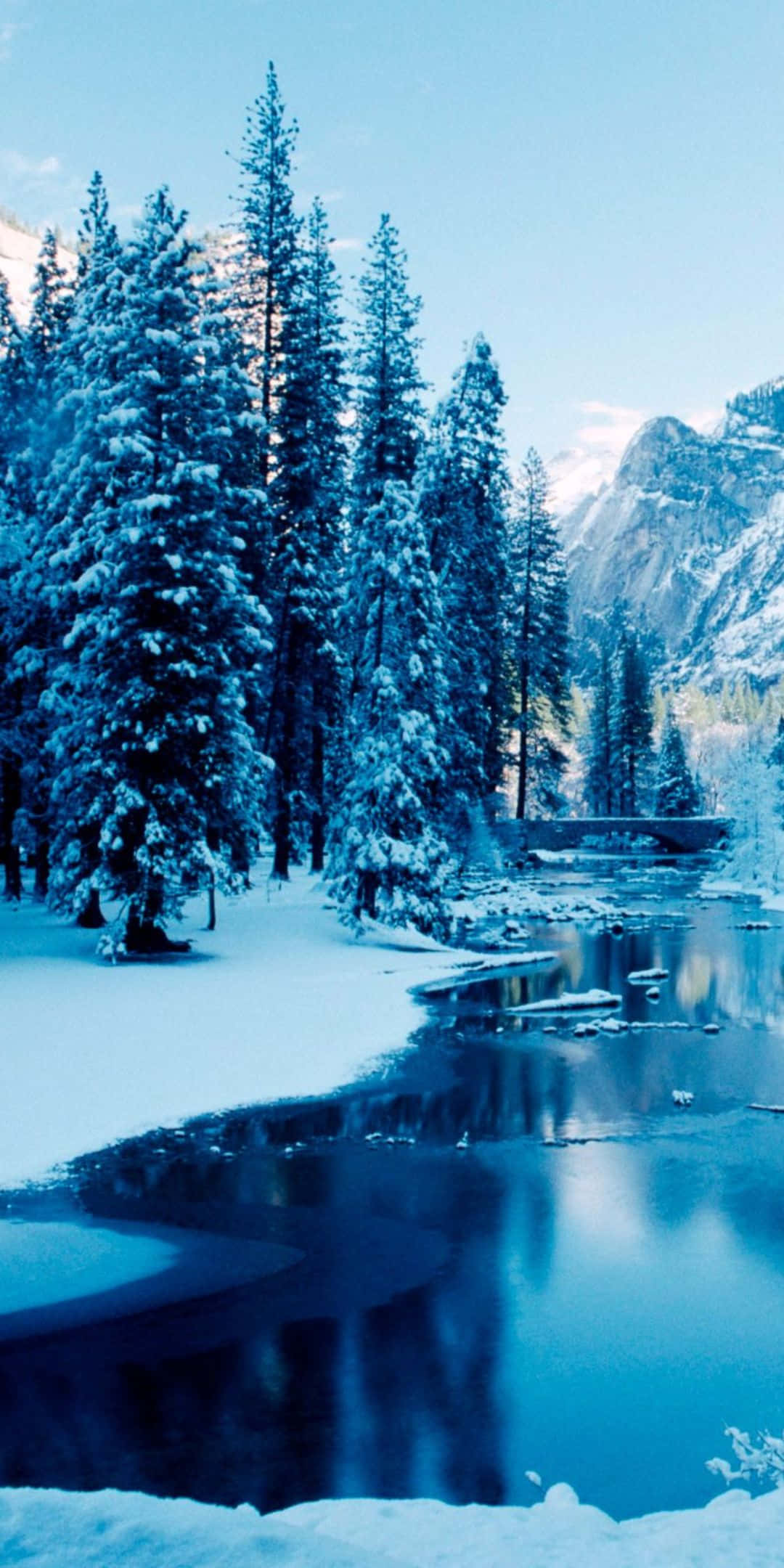 Pixel 3 Fondo de Invierno Lago Junto a un Bosque Fondos de pantalla