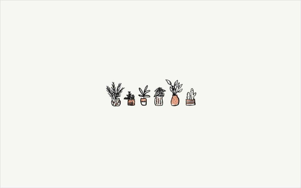 Plantas en Maceta Gráfico de Pinterest para Laptop Fondos de pantalla