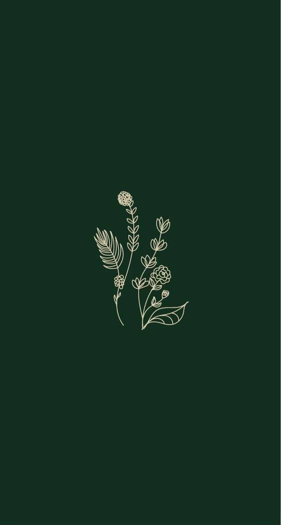 Plantas Florales Blancas Estética Lisa Fondos de pantalla
