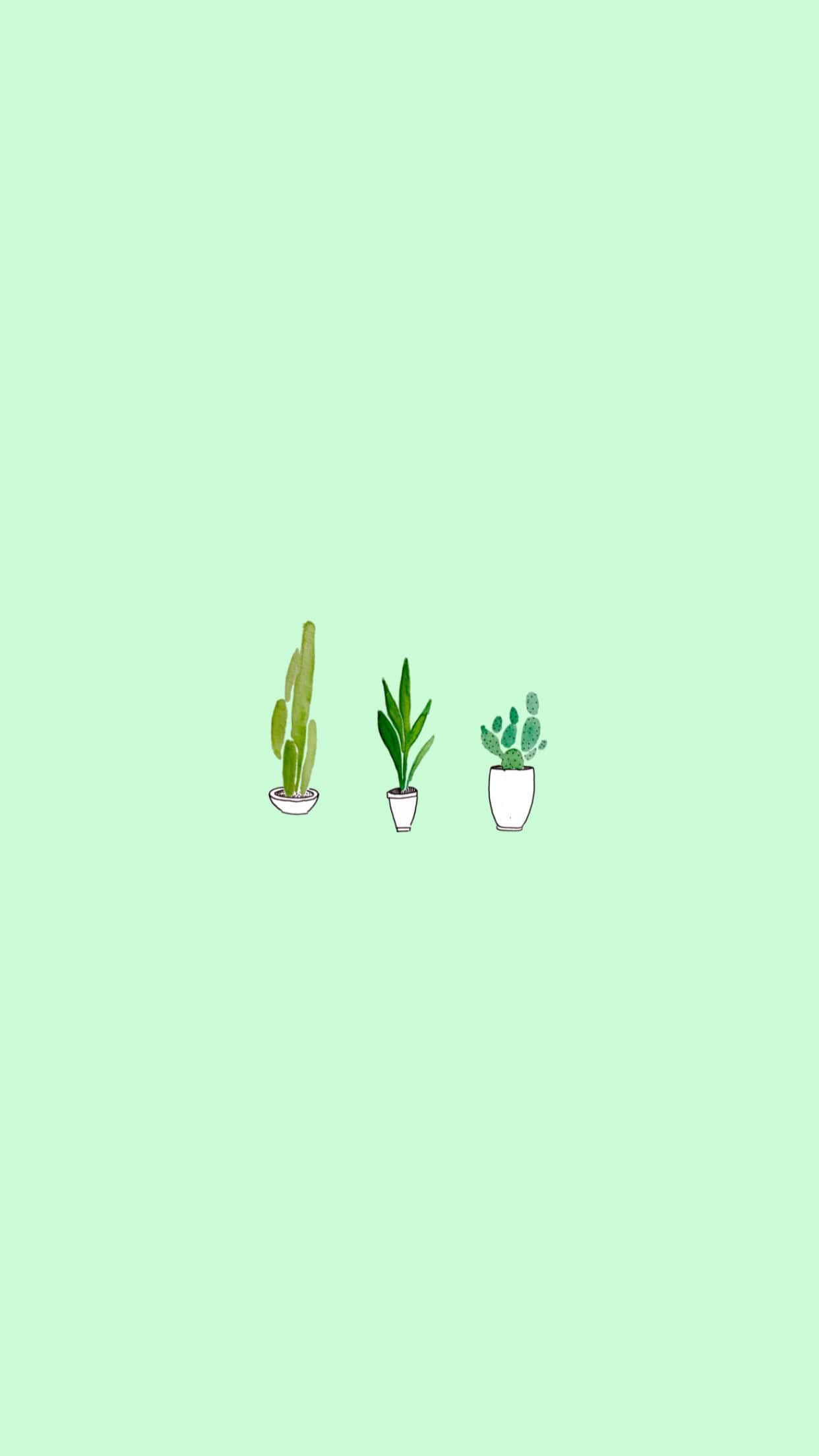Plantas lindas con estética verde lima Fondos de pantalla