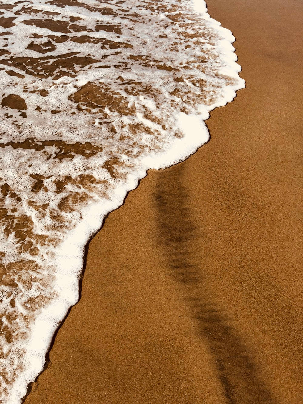 Playa Estética Marrón Claro Fondos de pantalla