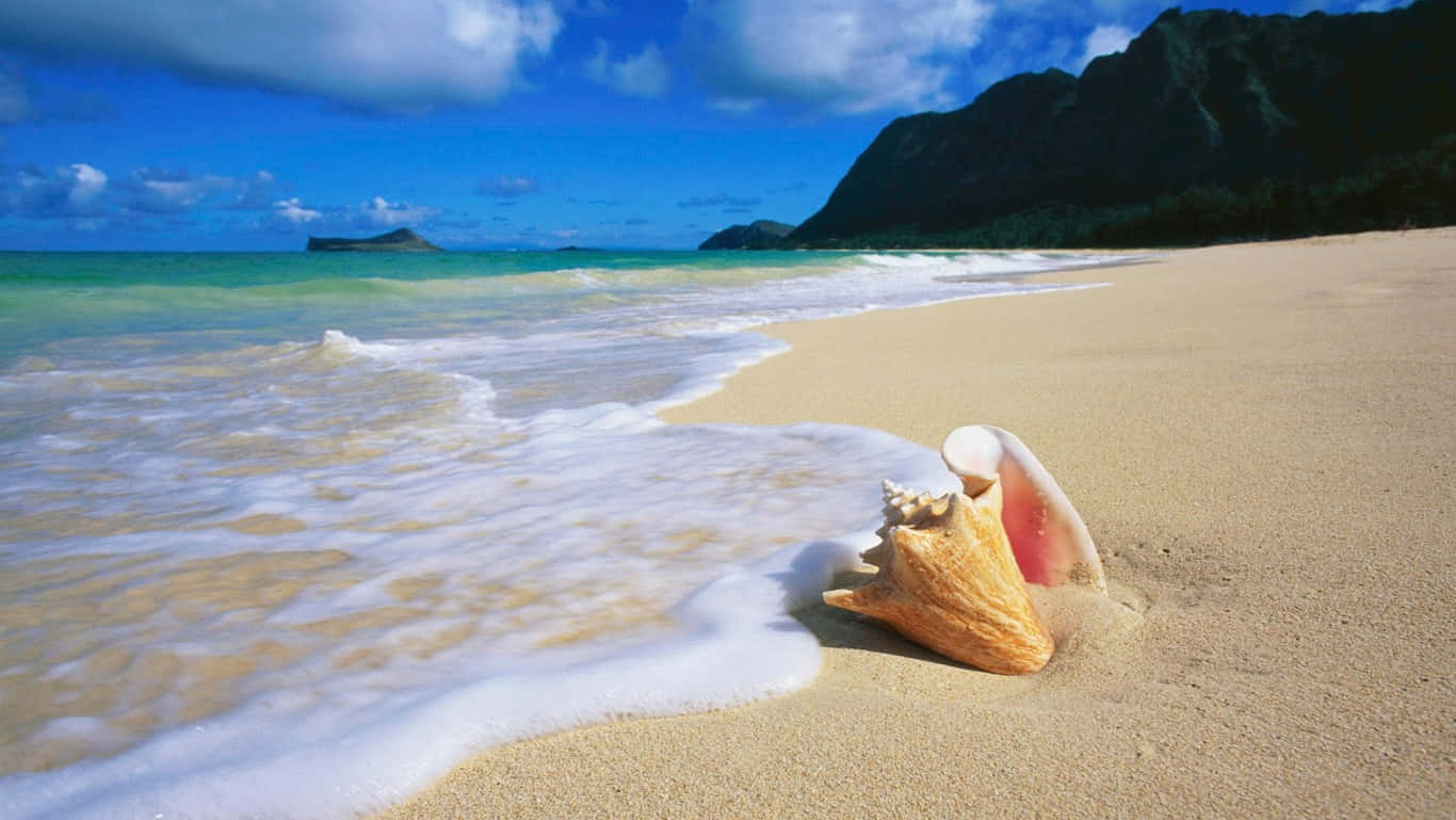 Playa HD con Concha de Oahu Fondos de pantalla