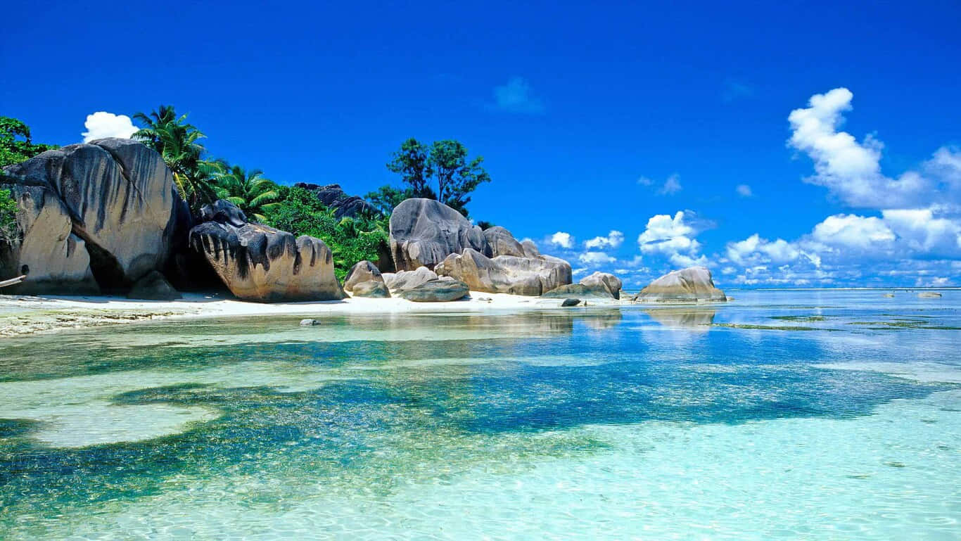 Playa en HD