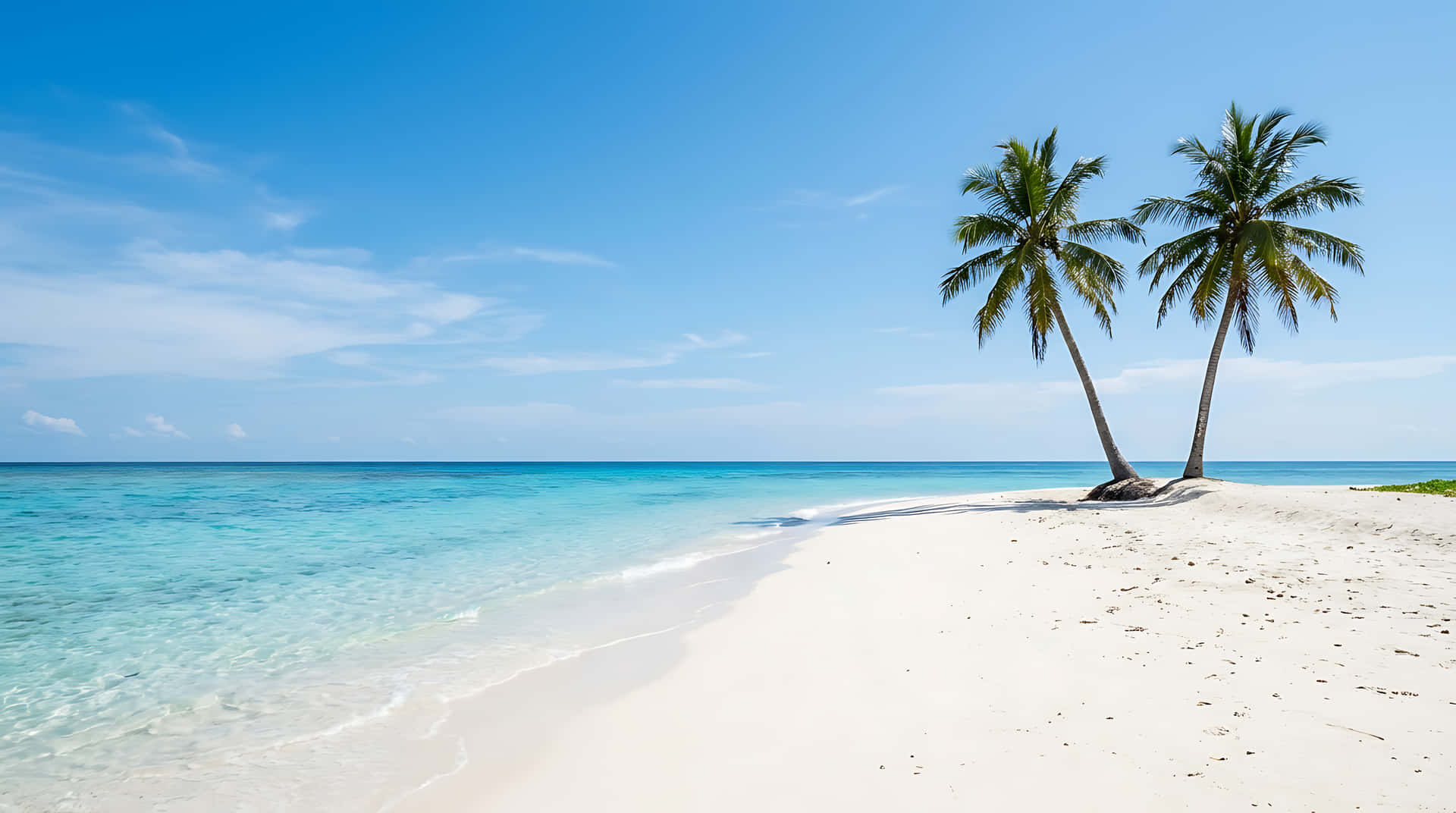 Playa tropical virgen con arena blanca y dos palmeras, océano turquesa cristalino bajo el cielo azul Fondos de pantalla