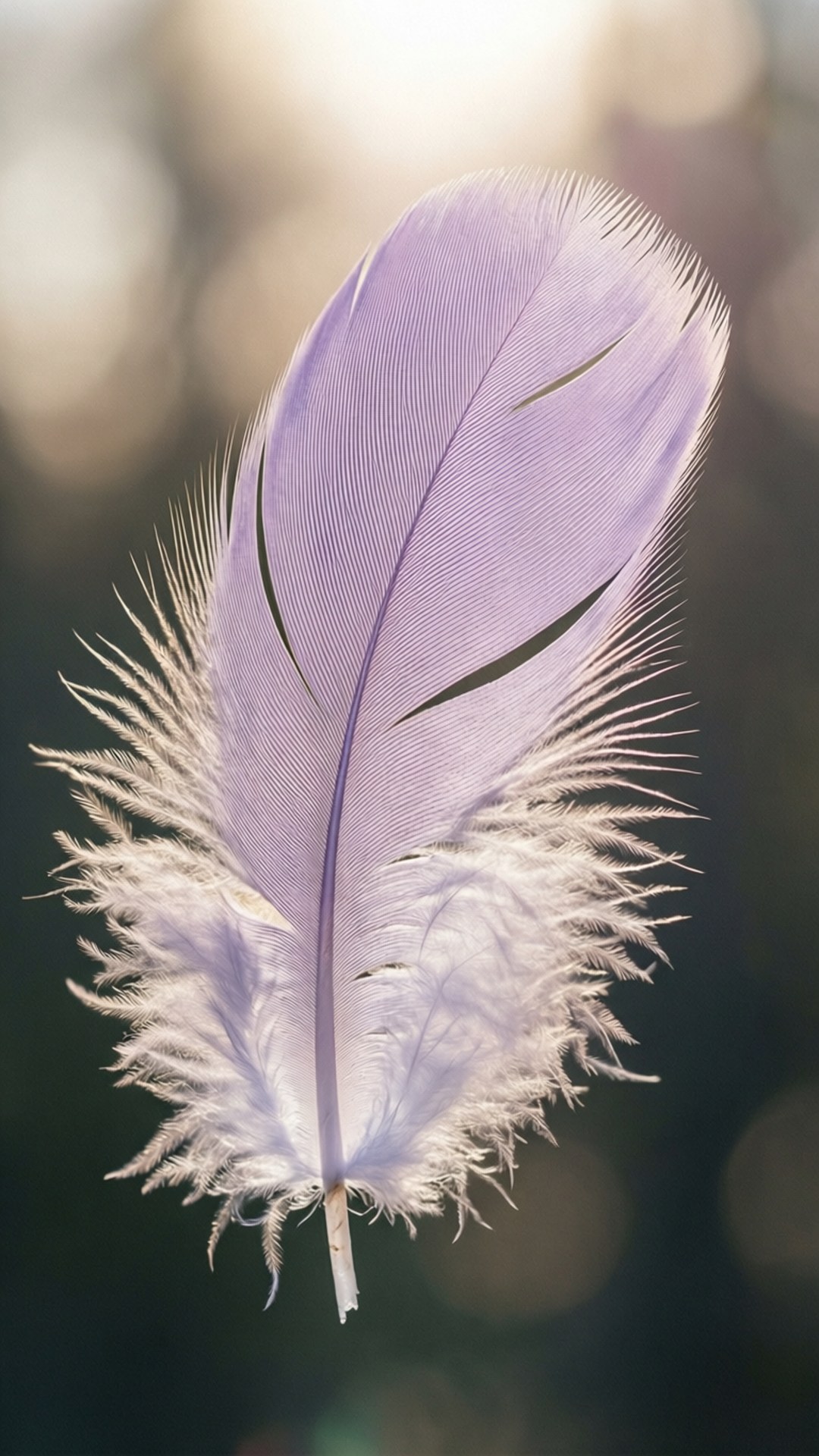 Pluma Flotante Pastel Fondos de pantalla