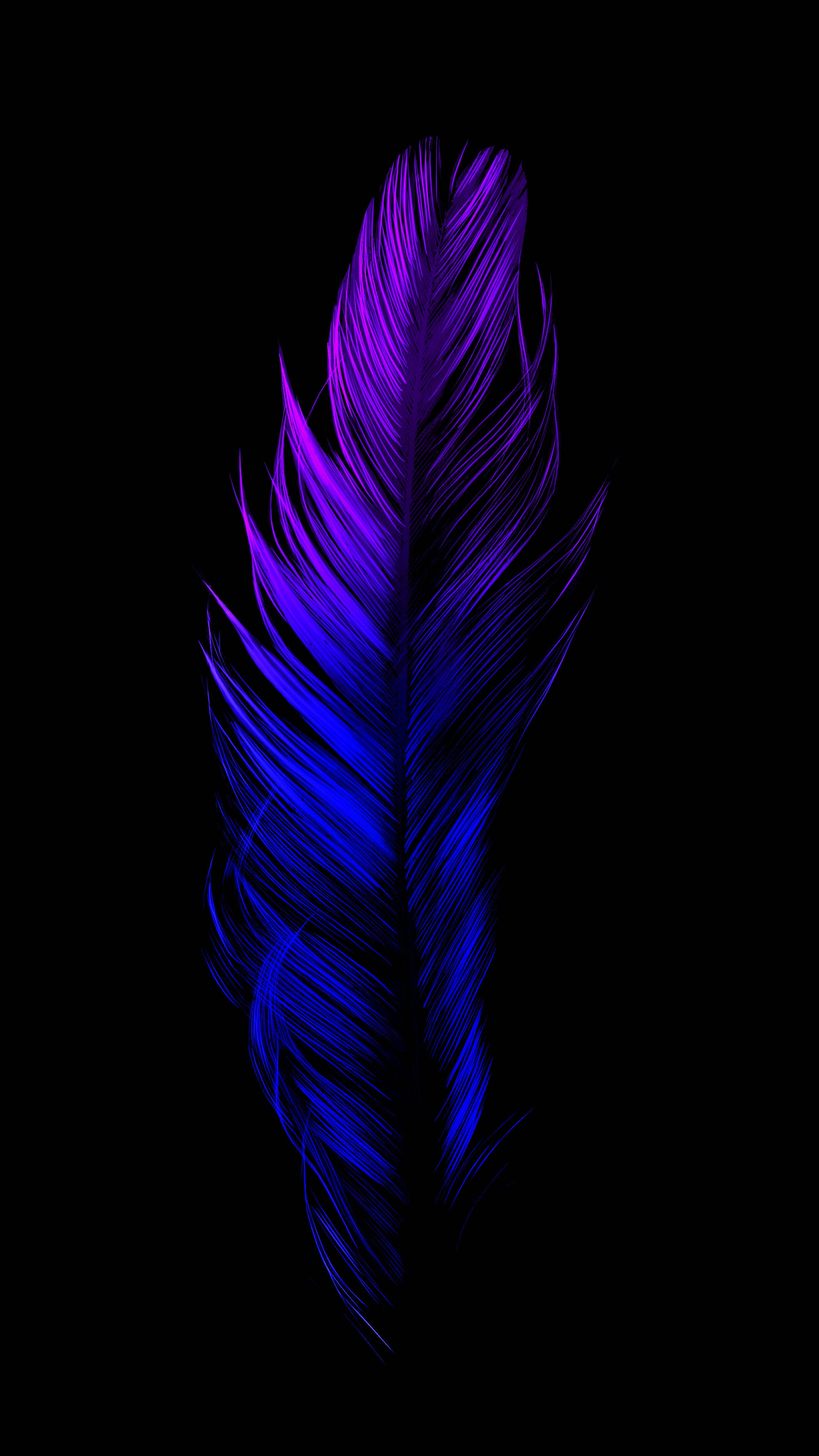 Pluma Neón Estética Azul Oscuro HD Fondos de pantalla