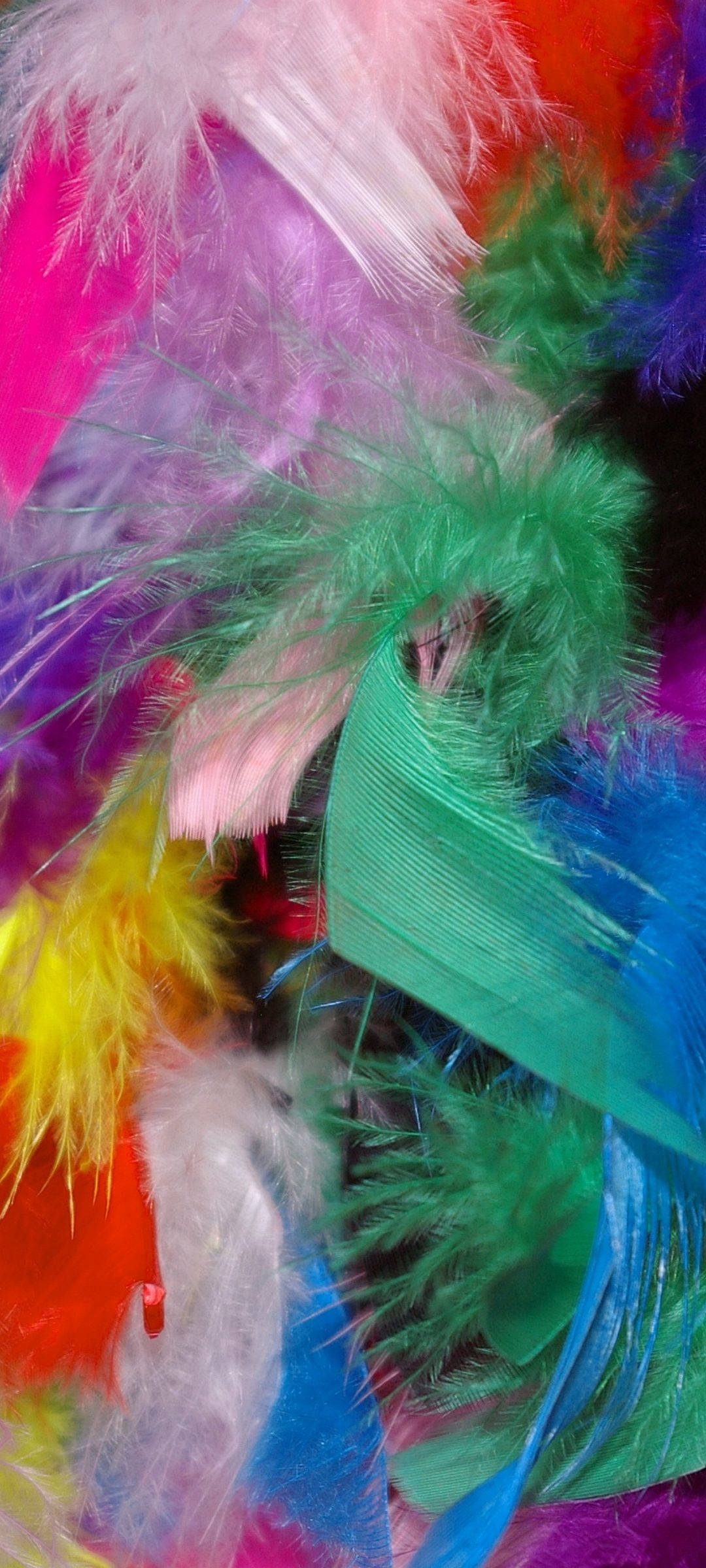 Plumas Coloridas Vivo V20 Fondos de pantalla