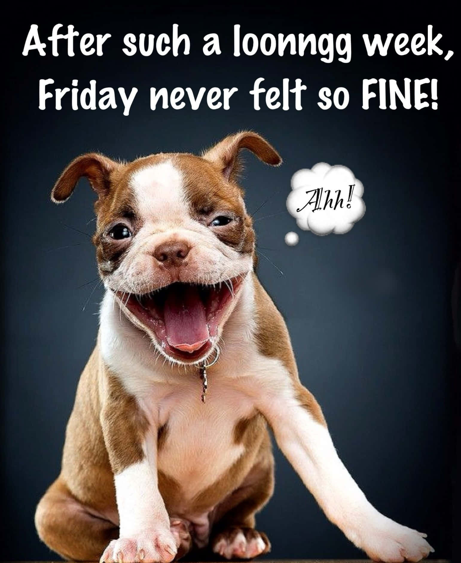 ¿Por fin es viernes? Fondos de pantalla
