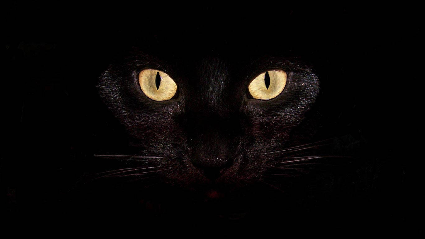 Portátil Oscuro Ojos de Gato Negro Fondos de pantalla
