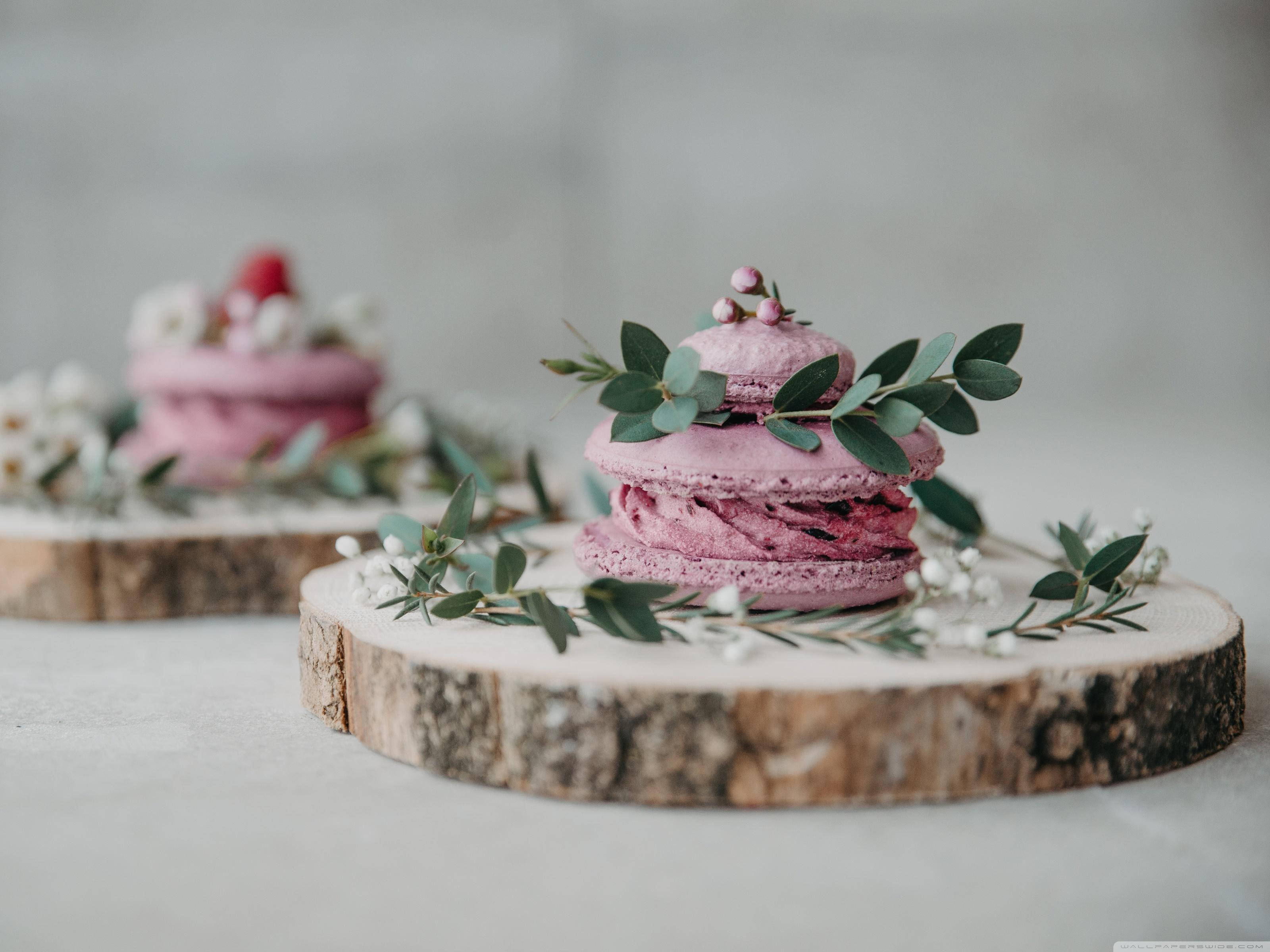 Postre de Macaron de Lavanda Fondos de pantalla