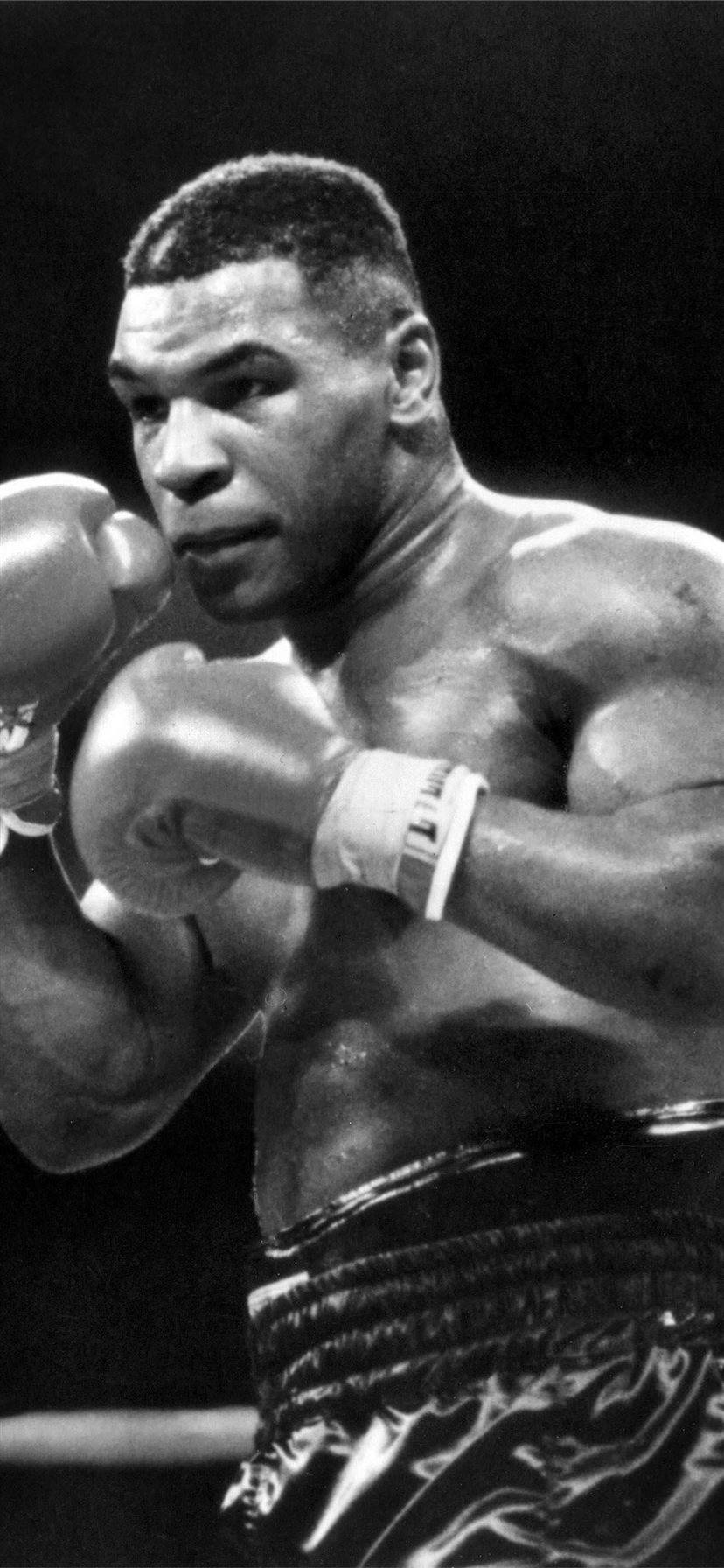Postura Defensiva de Boxeo Genial Fondos de pantalla