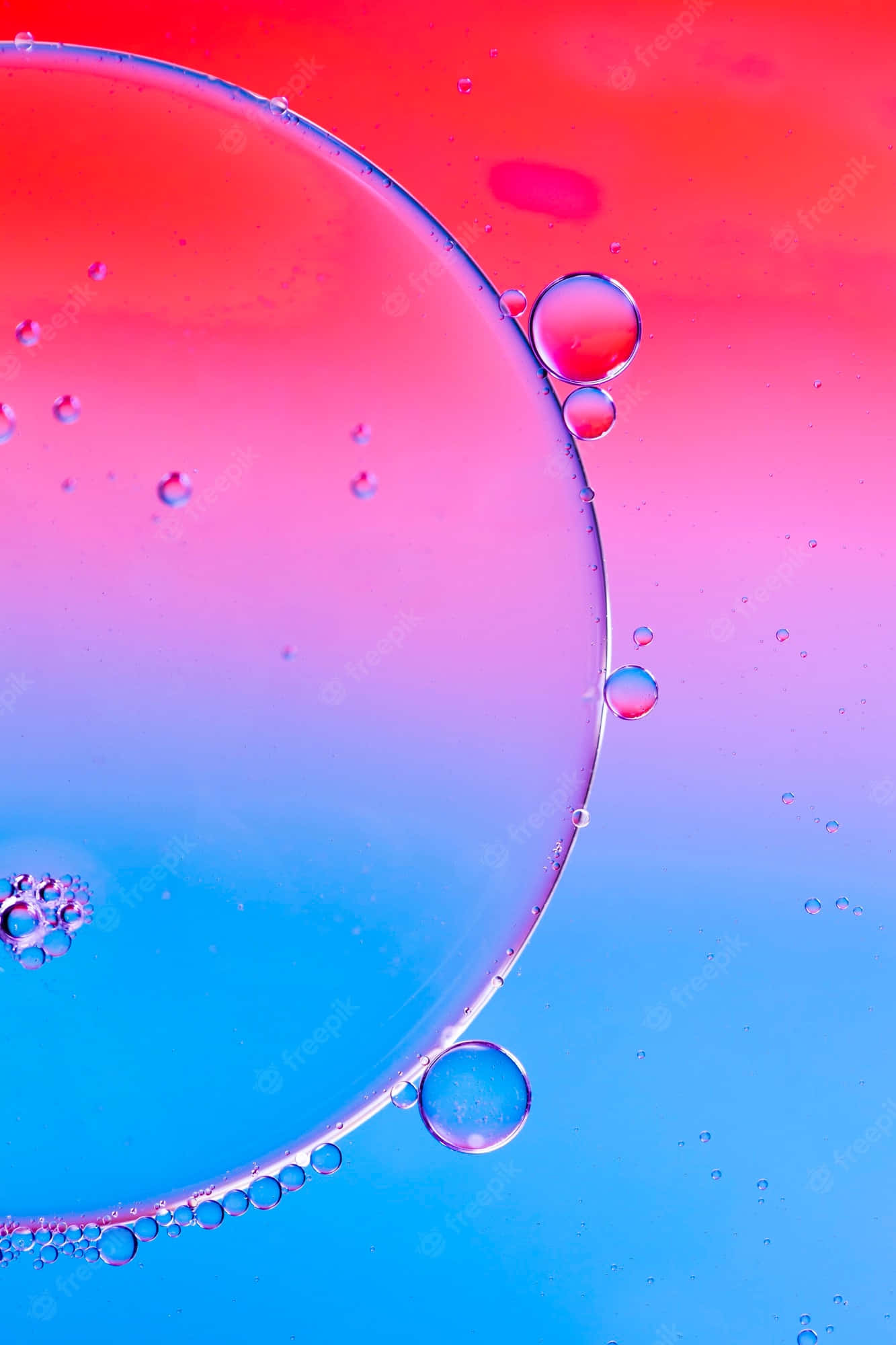 ¡Prepárate para Conversar y Explorar el Mundo con Bubbles Phone! Fondos de pantalla