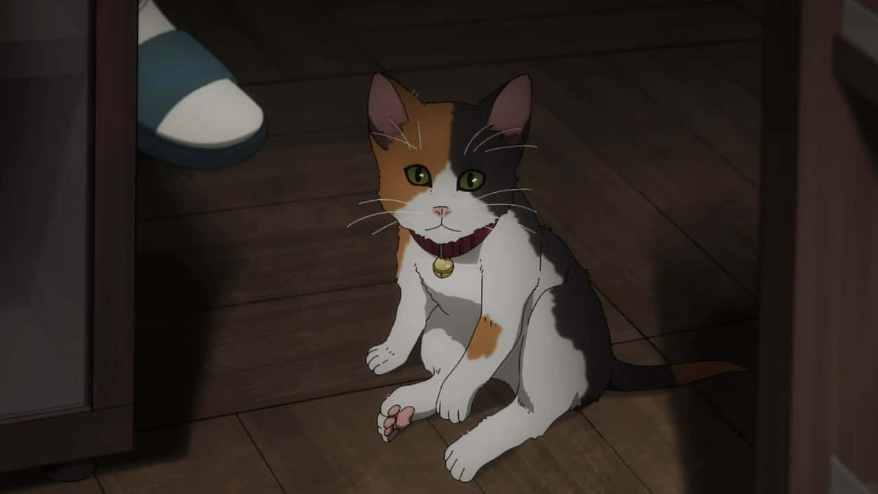 Prepárate para sonreír con este lindo Gato Anime Fondos de pantalla