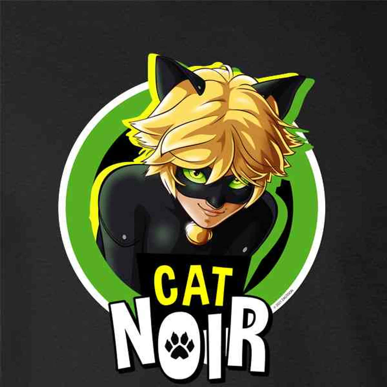 Presentamos a Cat Noir: un giro moderno de los héroes clásicos que hemos llegado a amar Fondos de pantalla