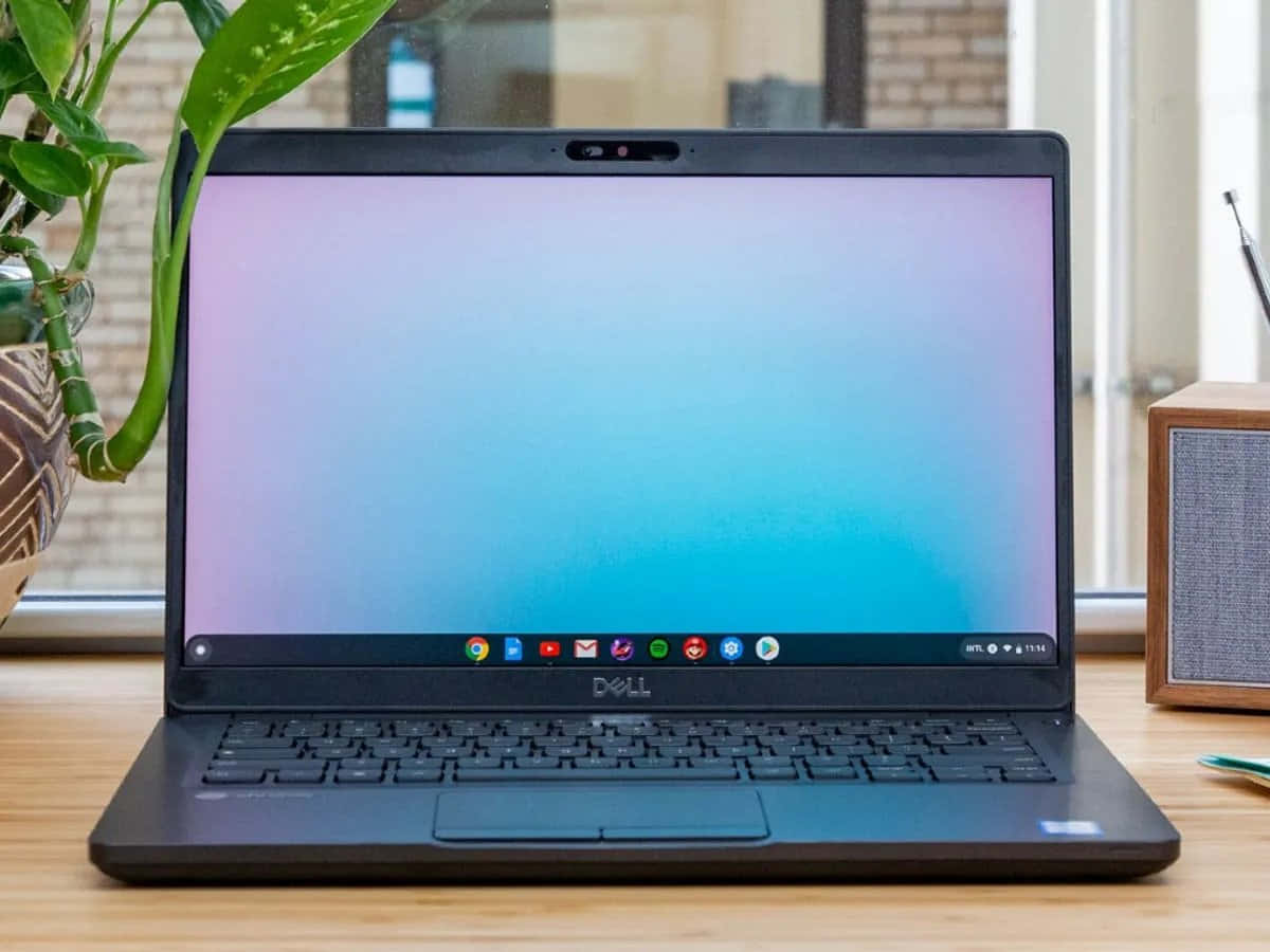 Presentando la Chromebook: Una laptop asequible y refinada Fondos de pantalla
