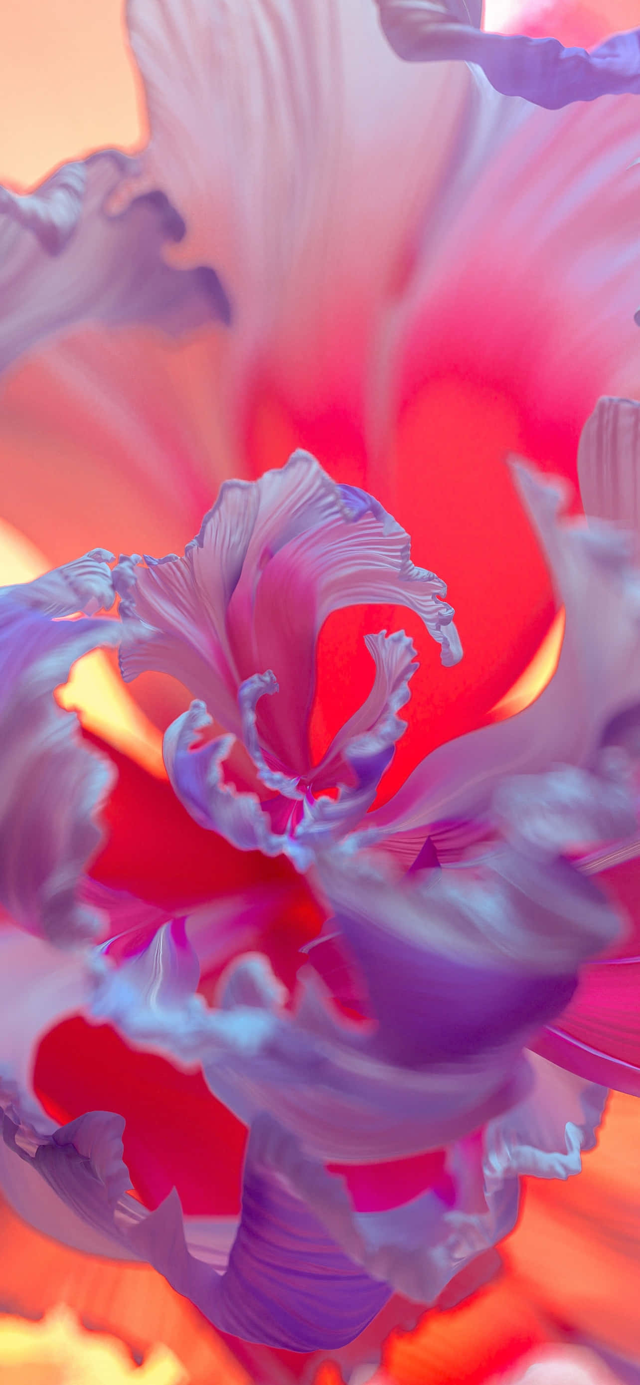 Primer Plano de una Flor Morada Brillante Fondos de pantalla