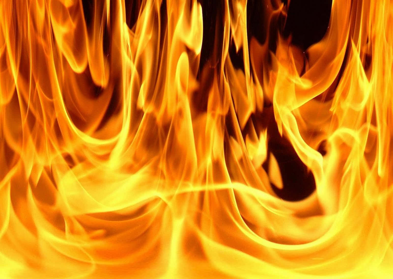 primer plano de una llama de fuego Fondos de pantalla