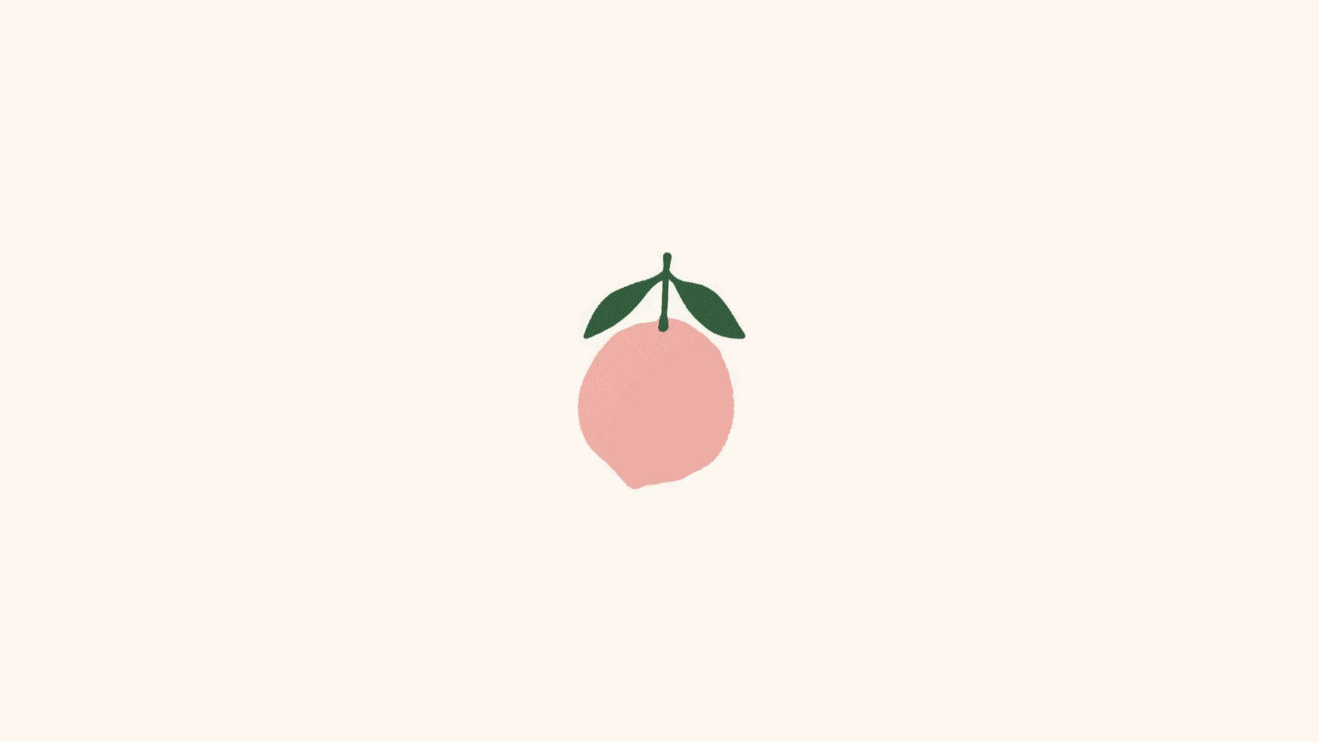 Producto rosa estético simple Fondos de pantalla