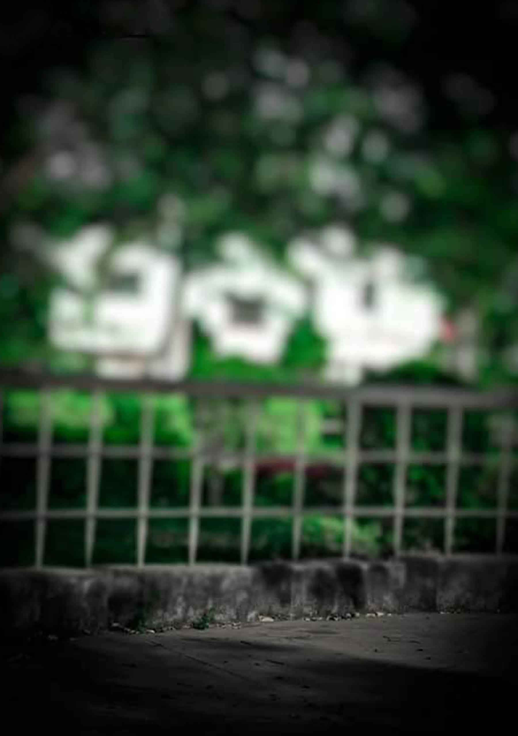 Profundidades Misteriosas del Verde Oscuro Fondos de pantalla