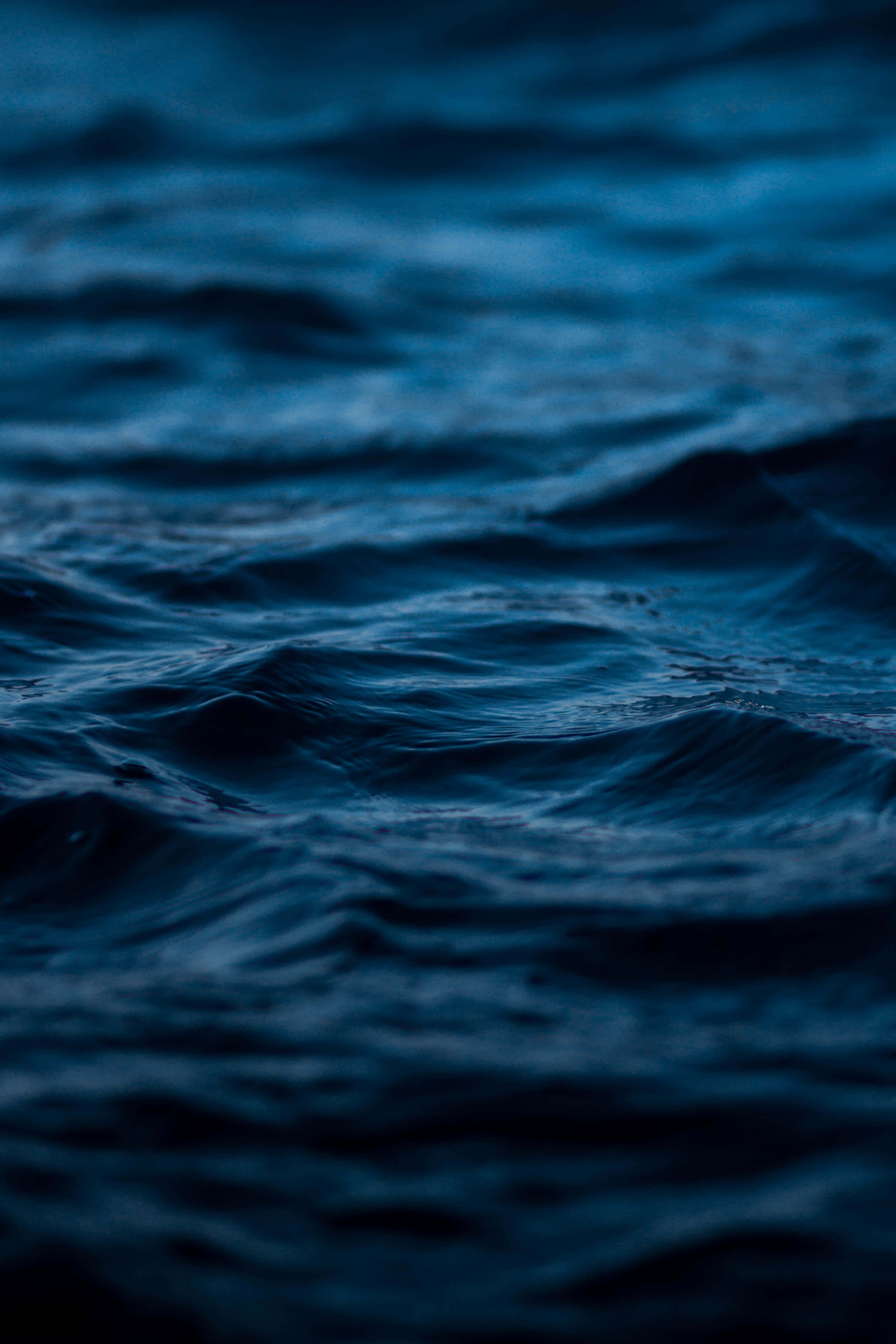 Profundidades Oceánicas Cautivadoras Fondos de pantalla