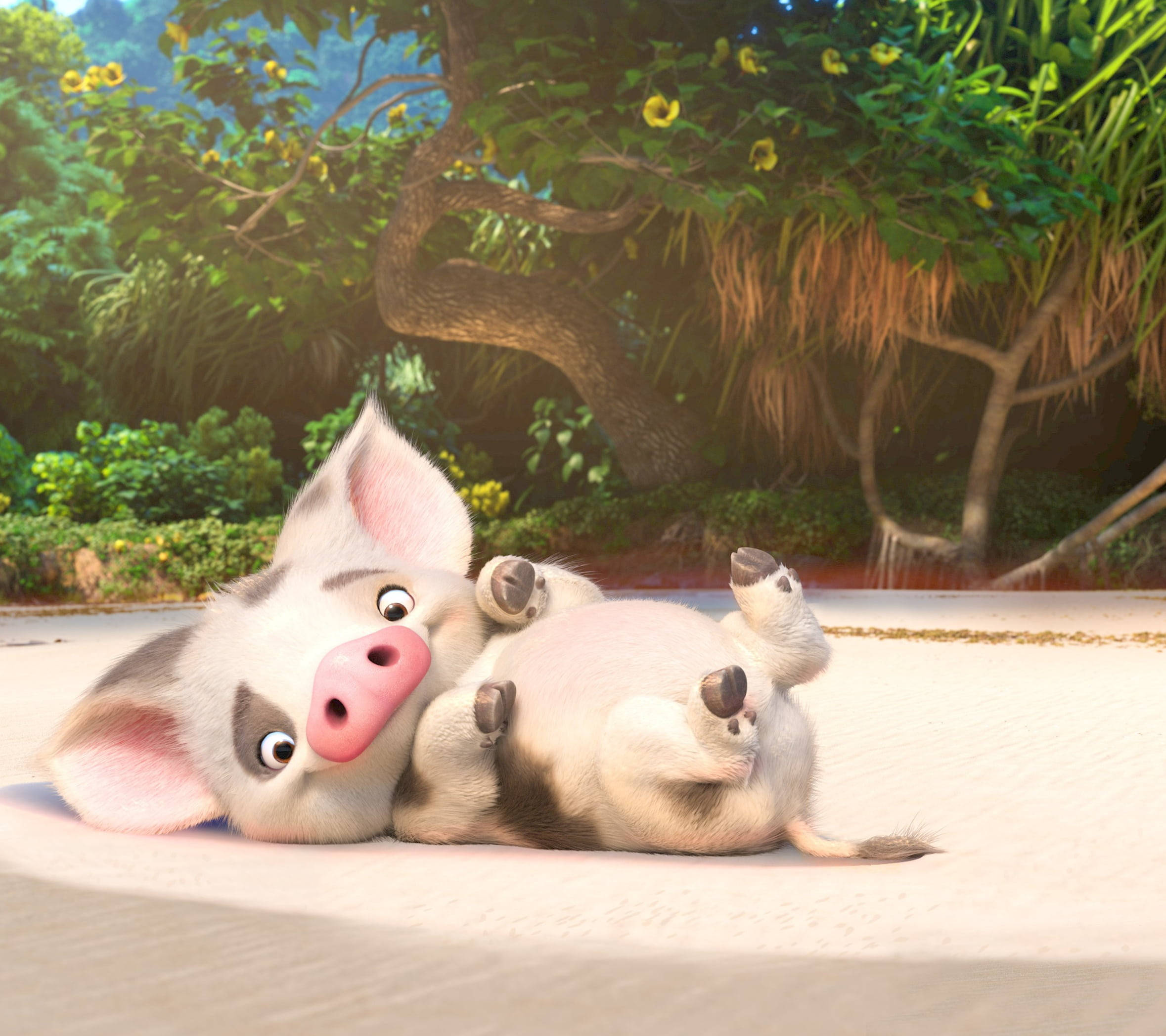 Pua el cerdito de Moana Fondos de pantalla