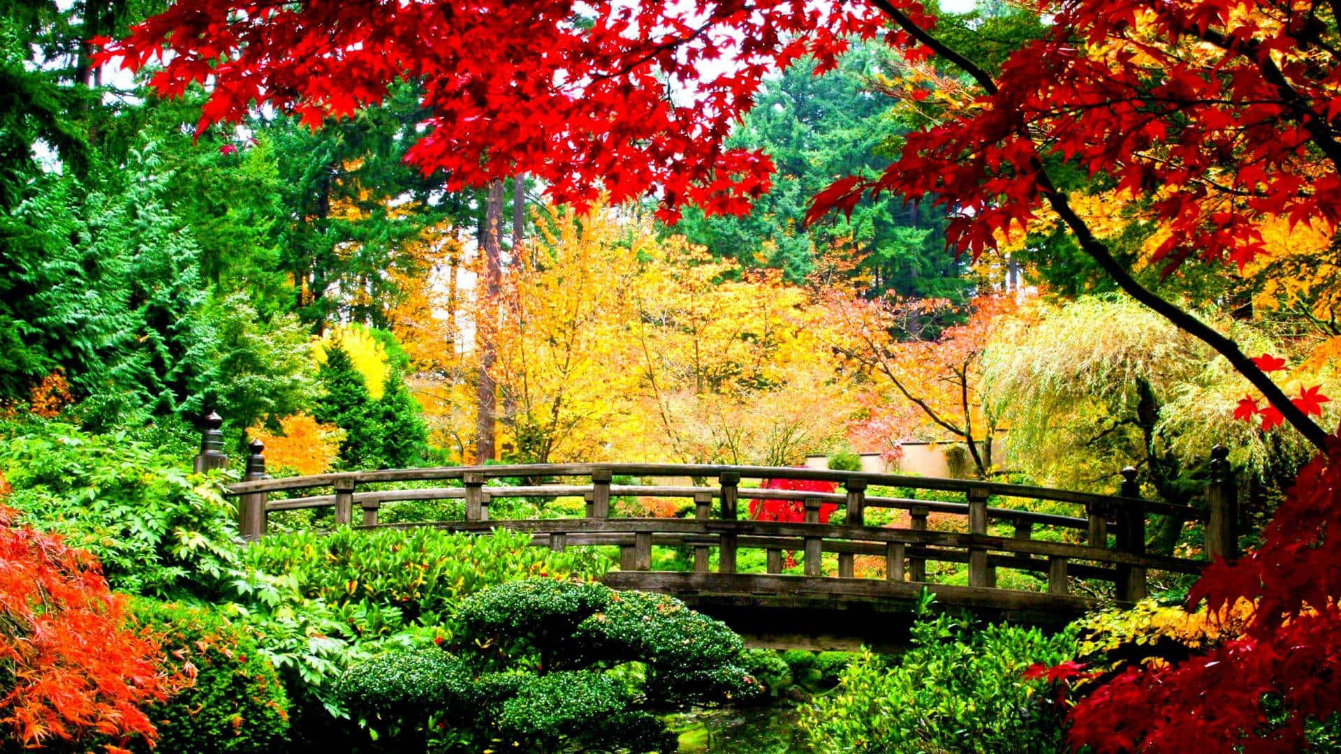 Puente de Jardín Otoñal Fondo HD de Otoño Fondos de pantalla