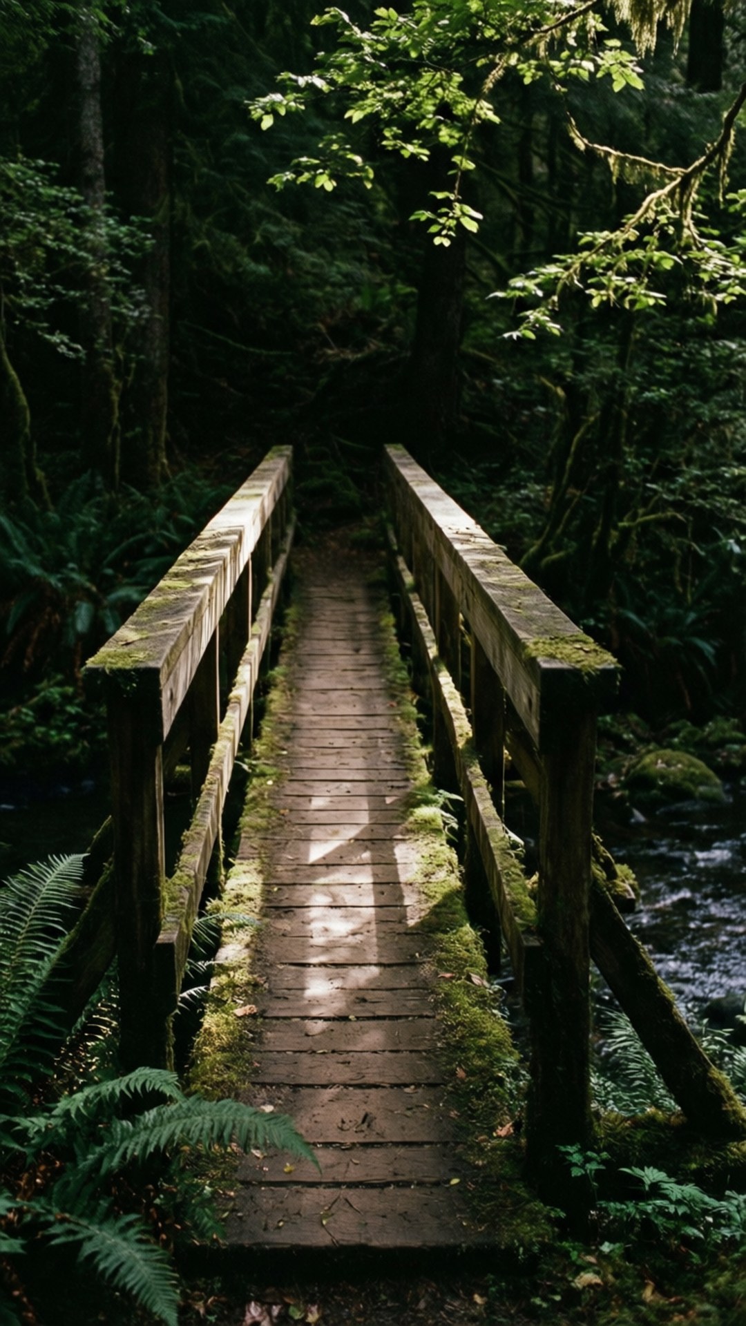 Puente de Madera sobre Arroyo Fondos de pantalla