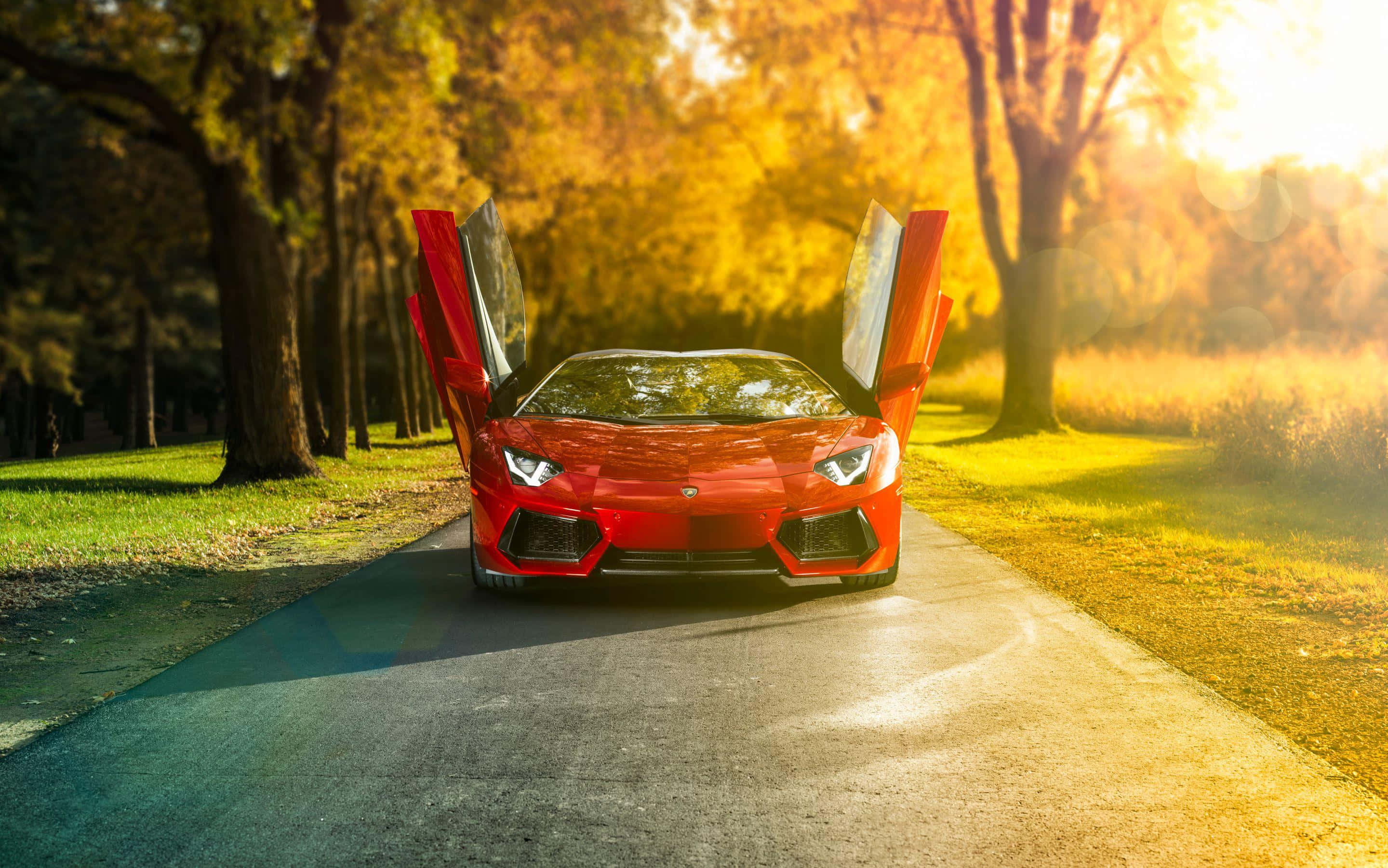 Puerta Abierta Lamborghini Aventador Fondos de pantalla