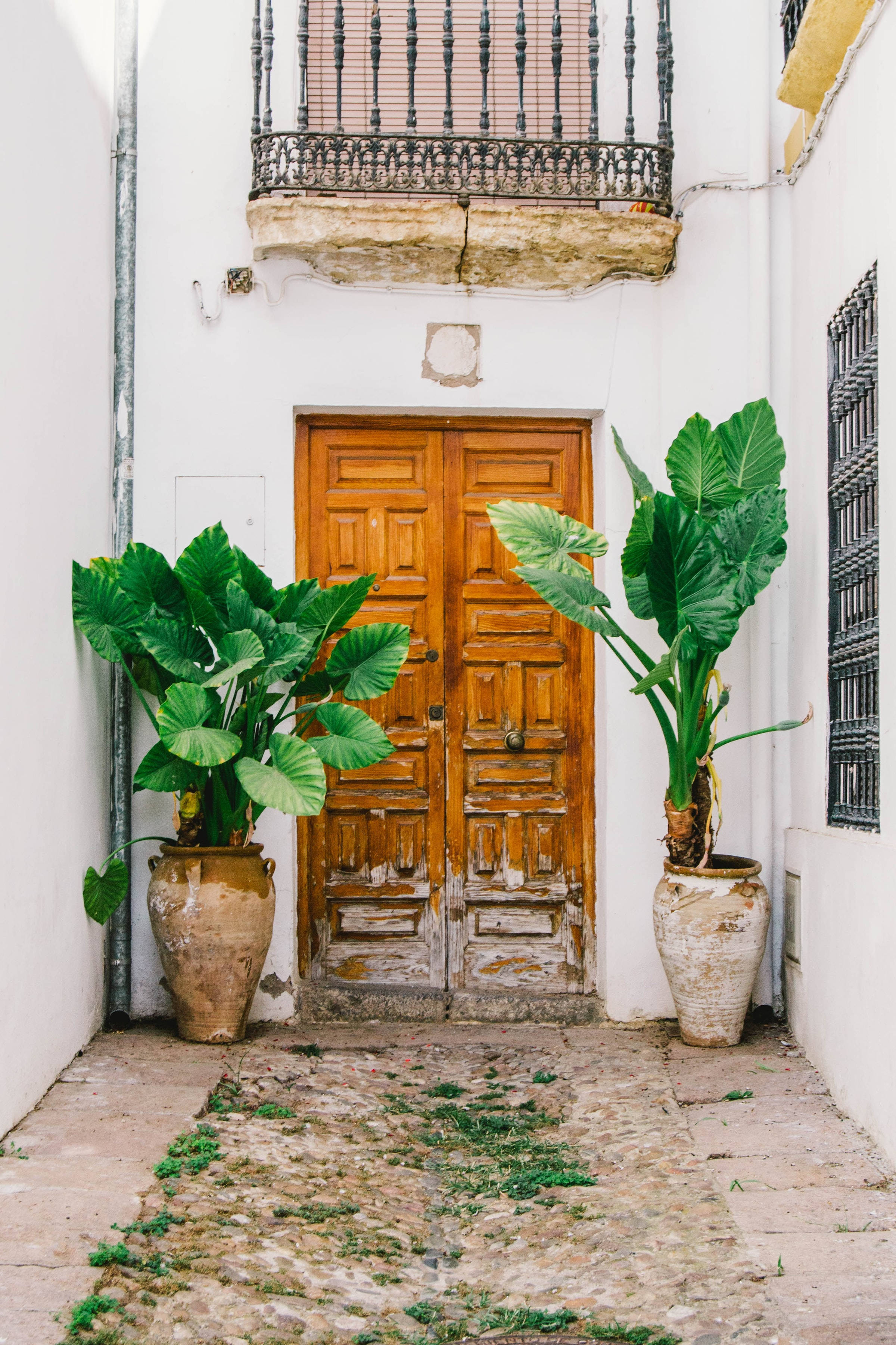 Puerta de madera estilo español con maceteros Fondos de pantalla
