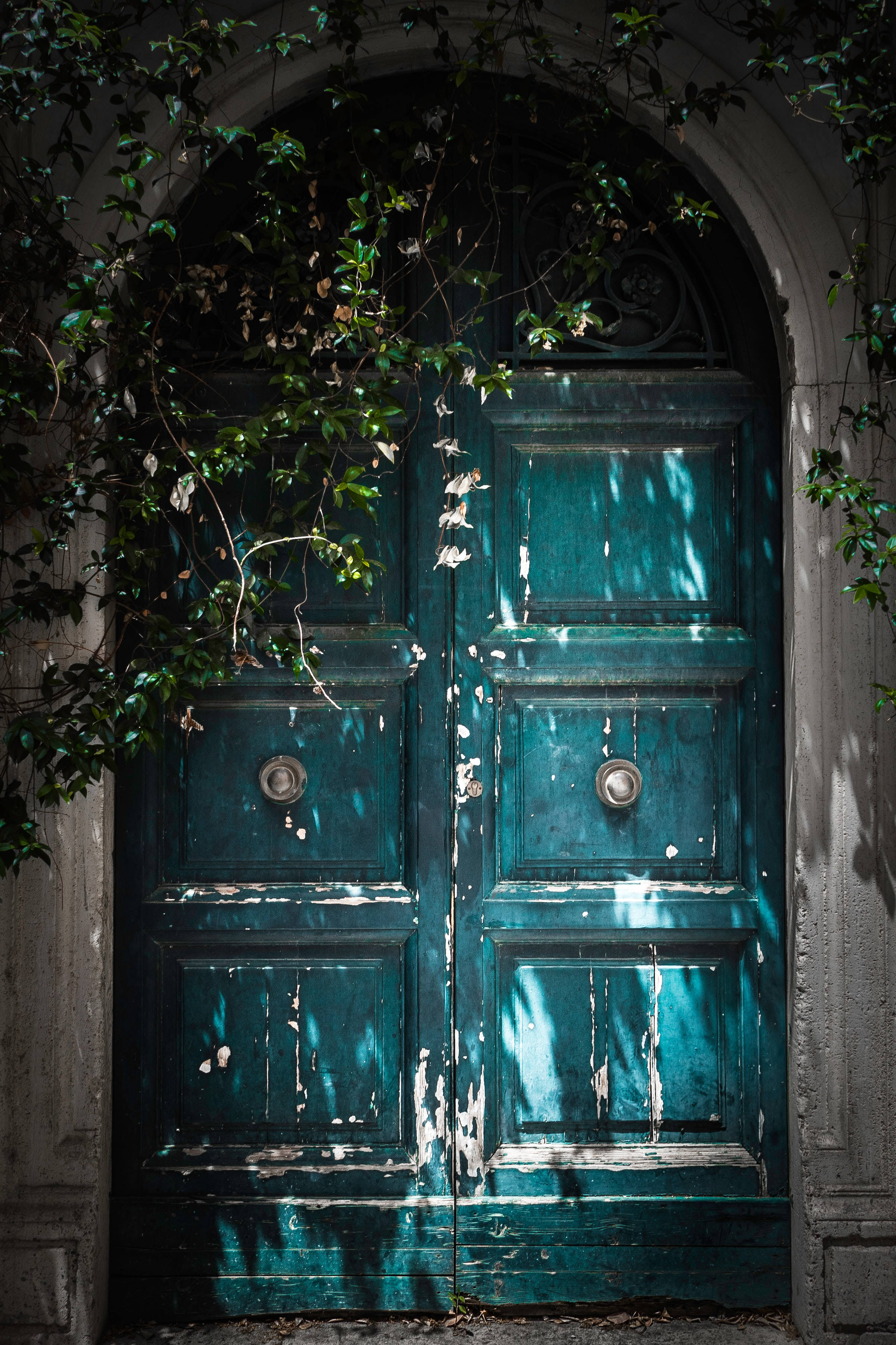 Puerta Doble de Madera Verde Desgastada Vintage. Fondos de pantalla