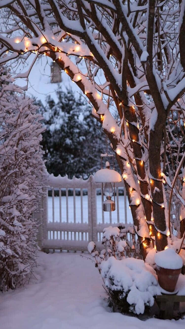 Puerta Nevada Invierno Acogedor Tumblr Fondos de pantalla