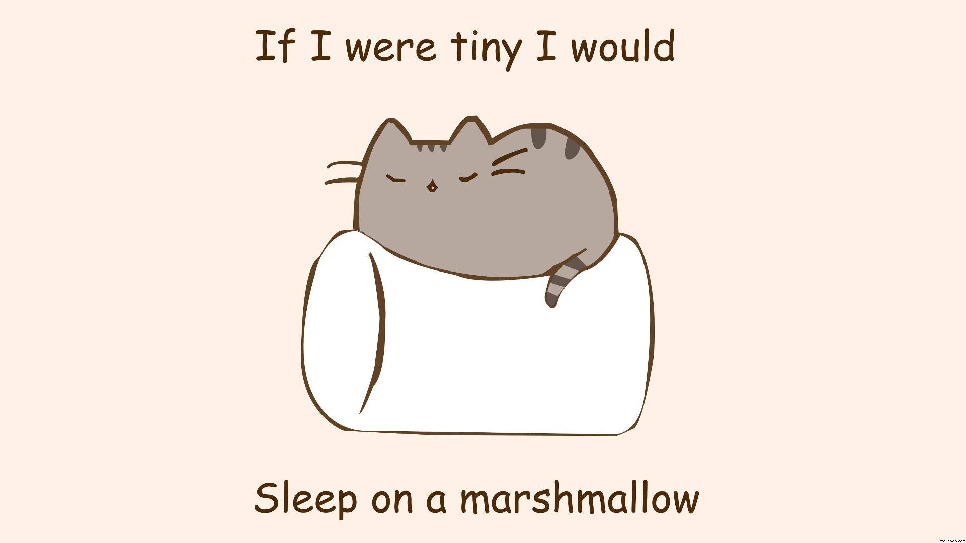 Pusheen Durmiendo Sobre Malvavisco Fondos de pantalla
